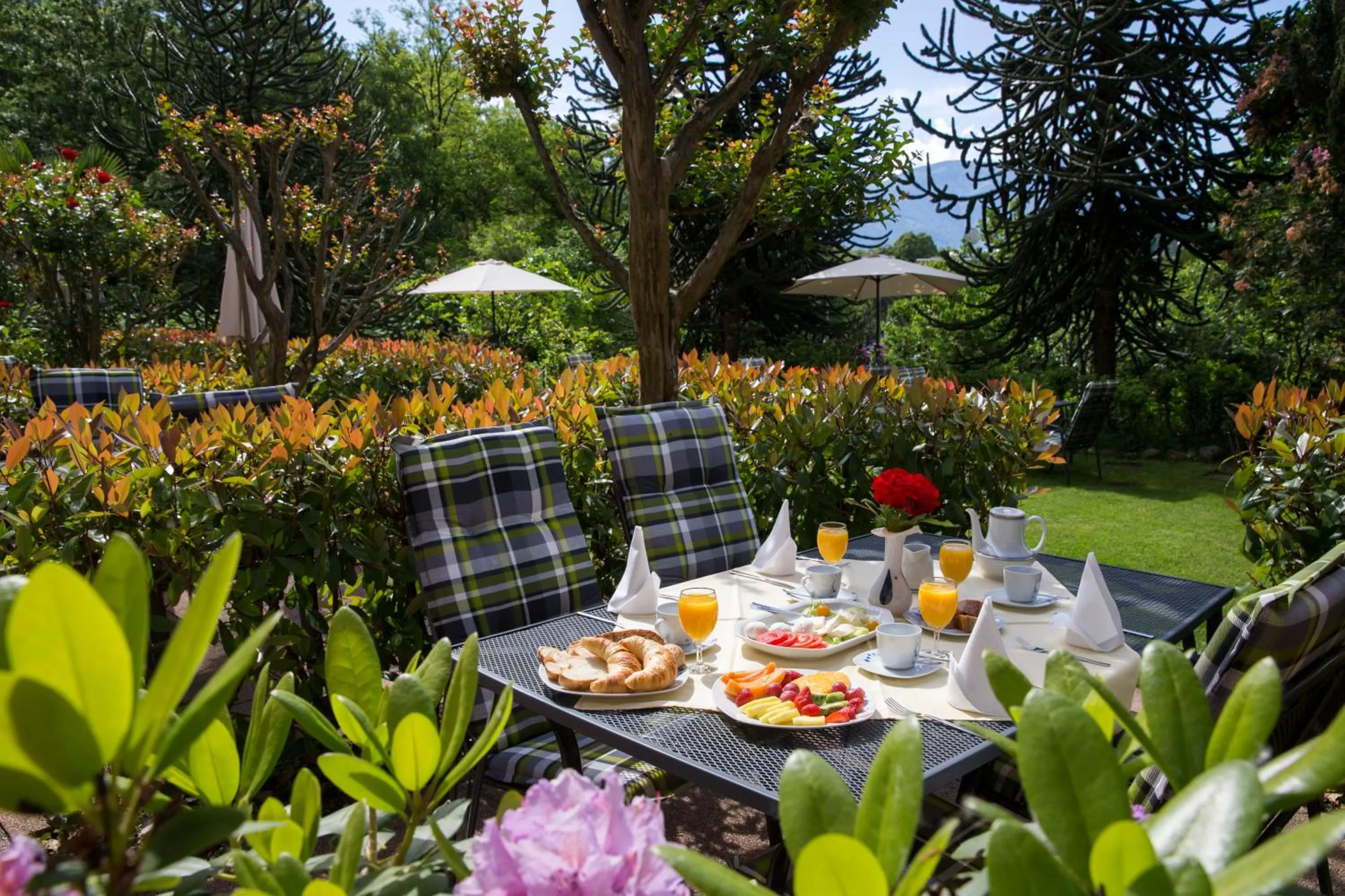 Garden in Hotel Al Fiume