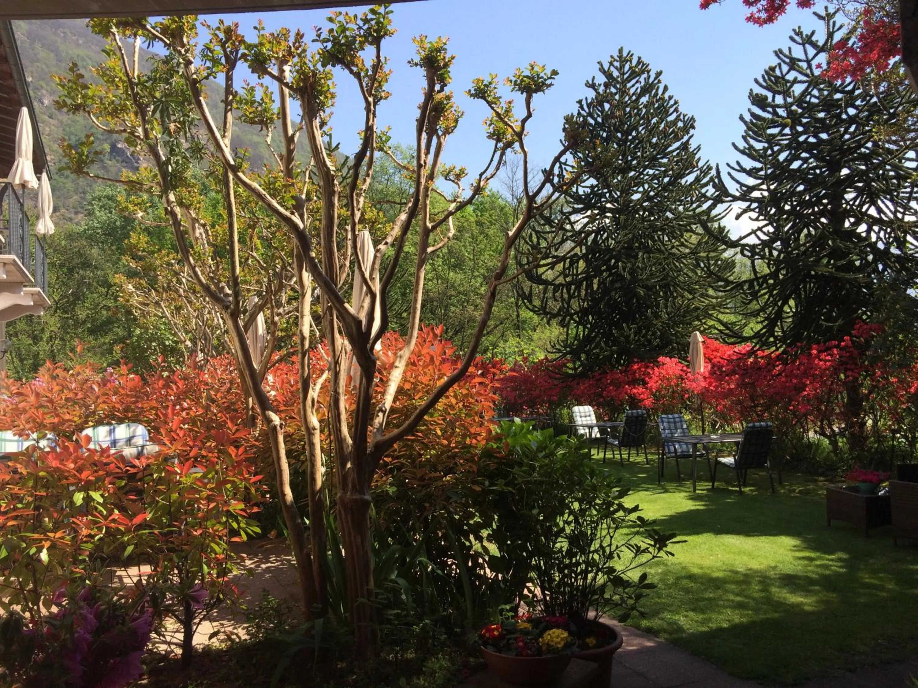 Garden in Hotel Al Fiume
