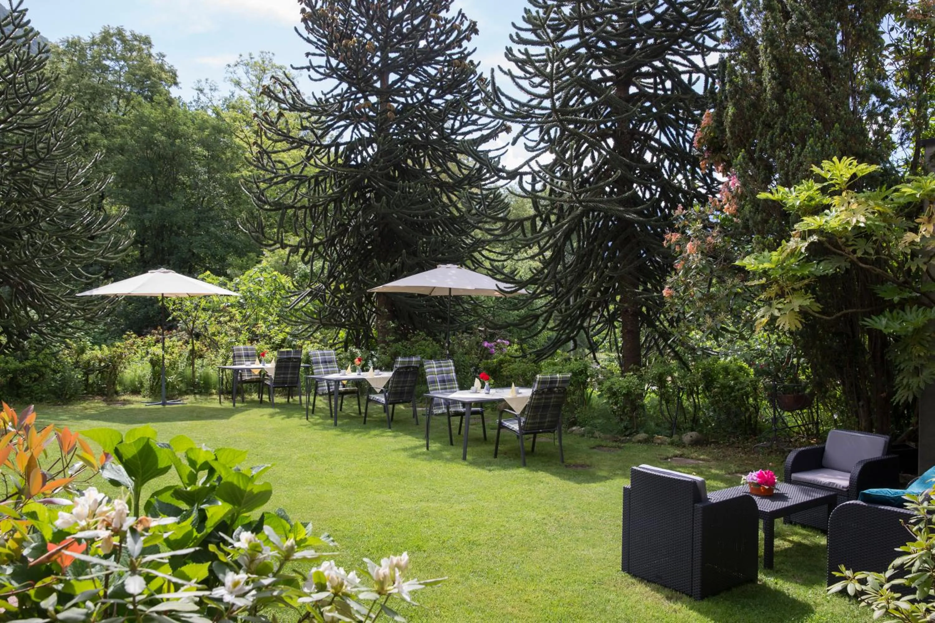 Garden in Hotel Al Fiume