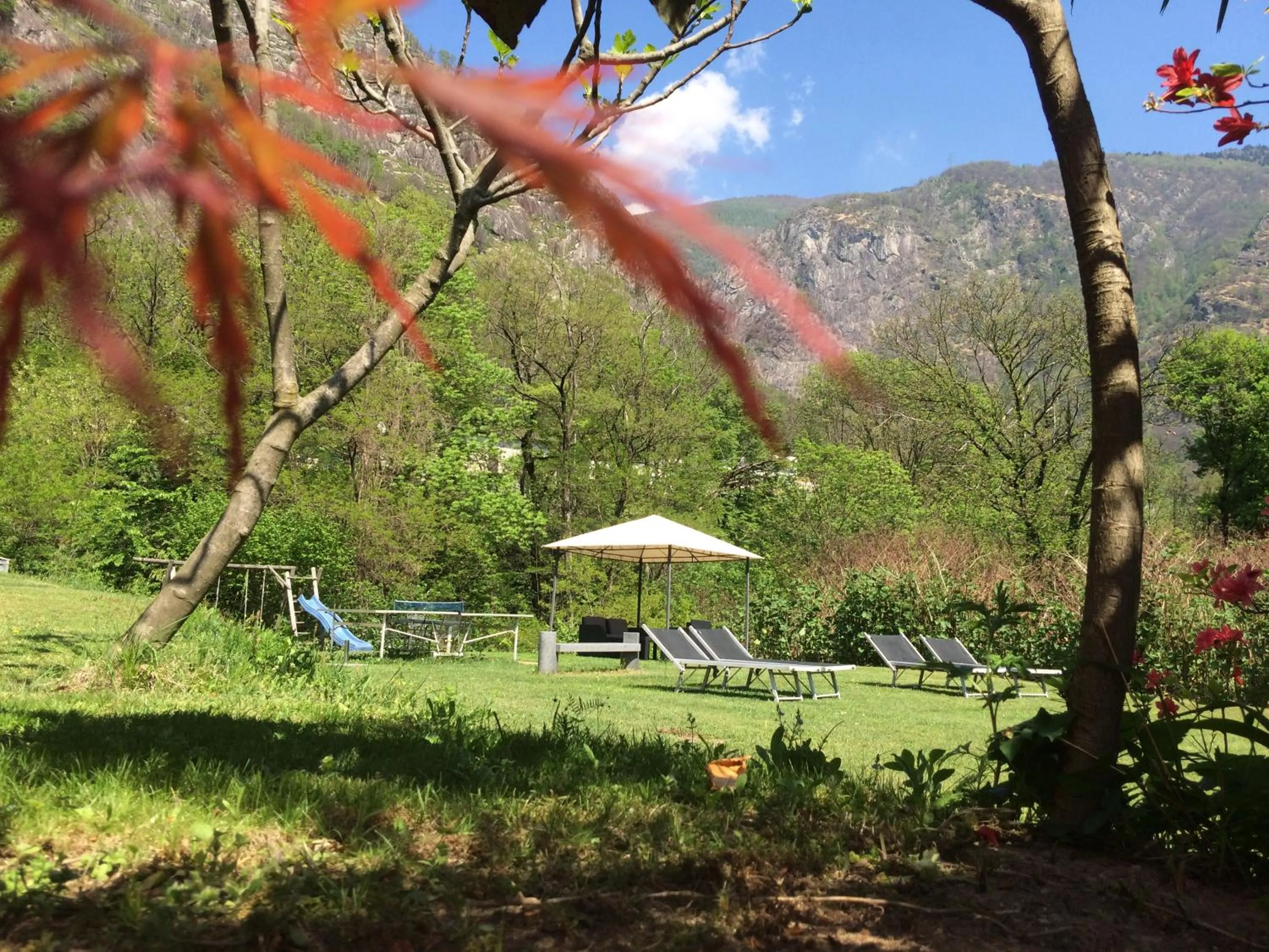Garden in Hotel Al Fiume