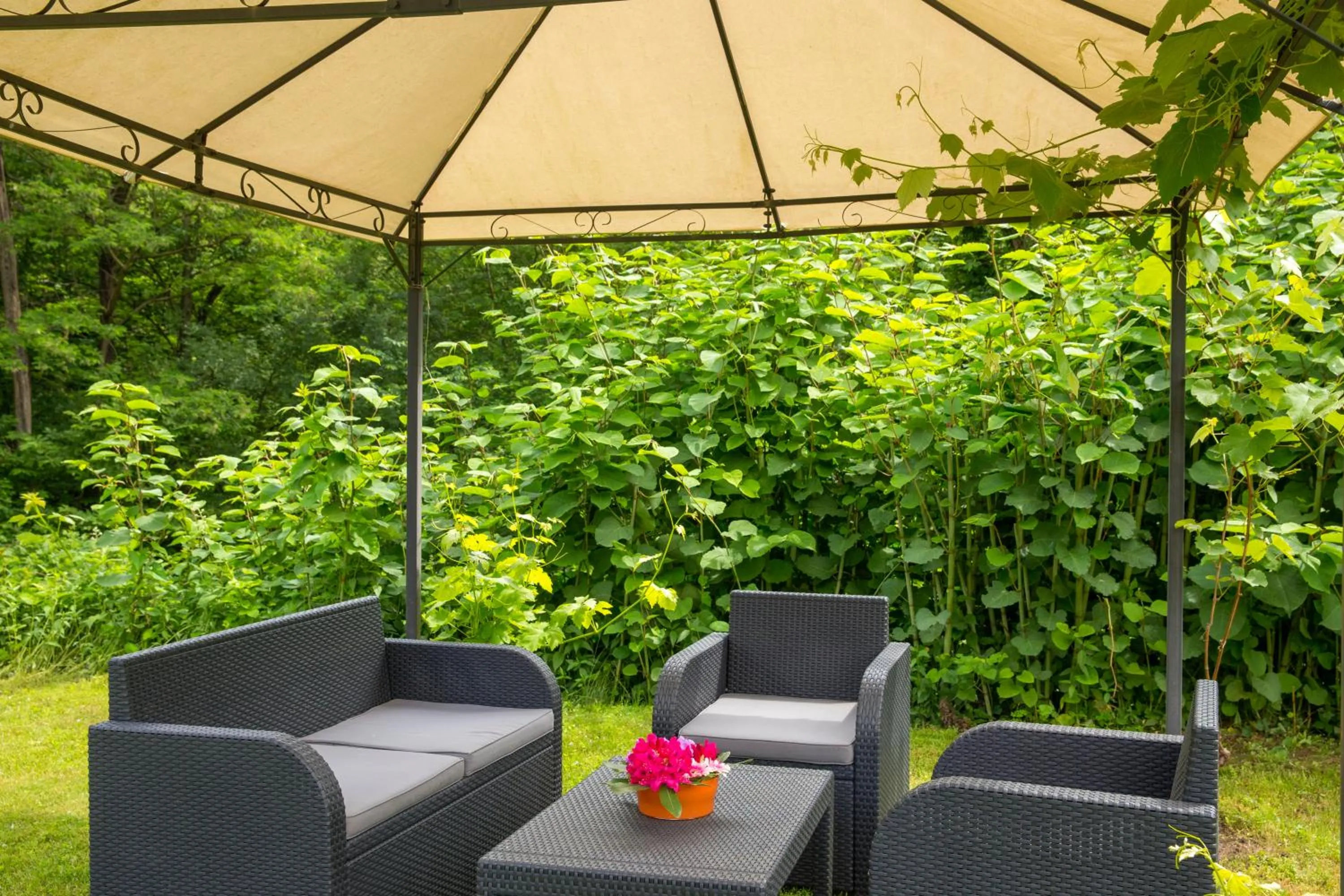 Garden in Hotel Al Fiume