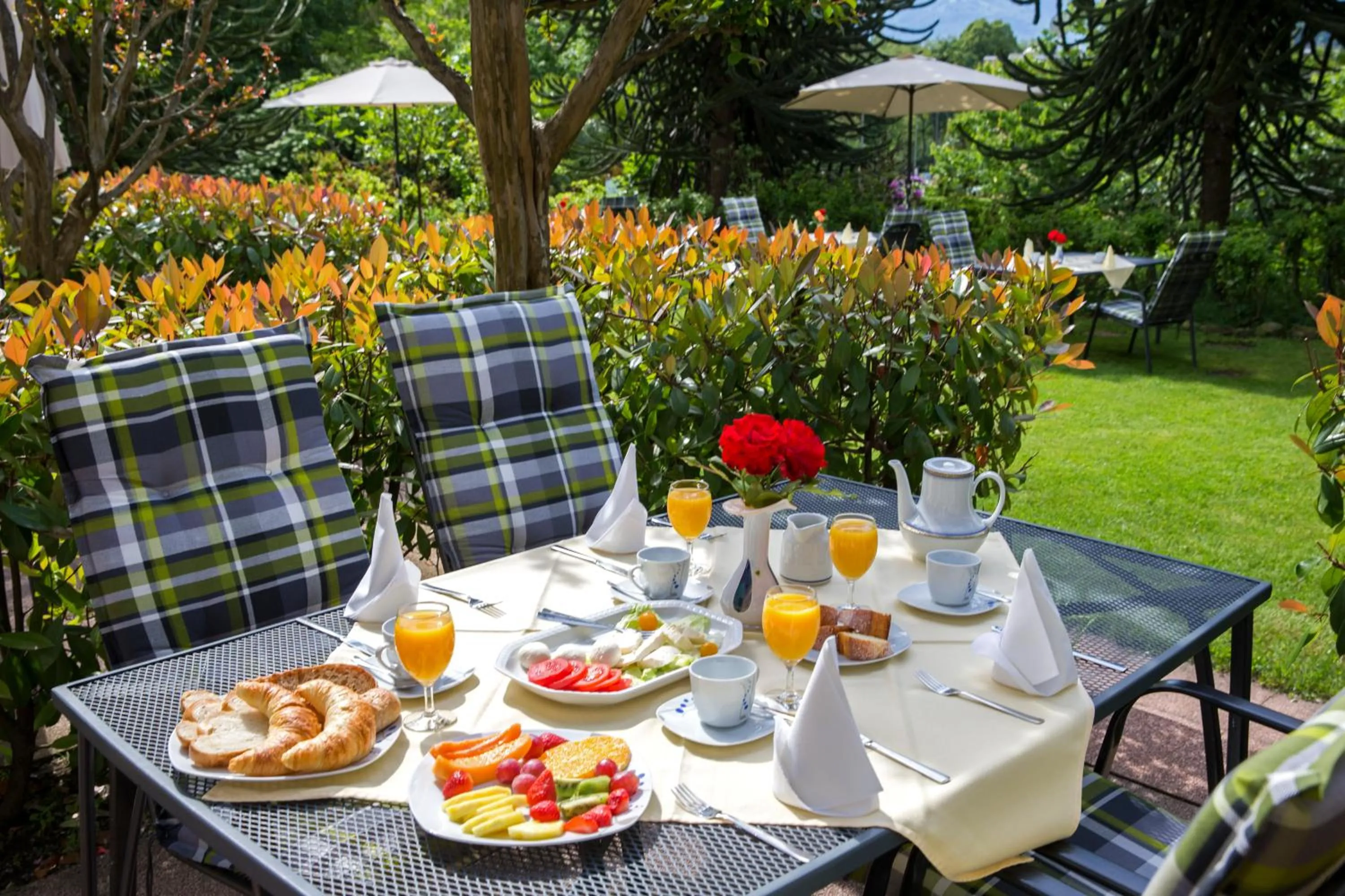 Garden in Hotel Al Fiume