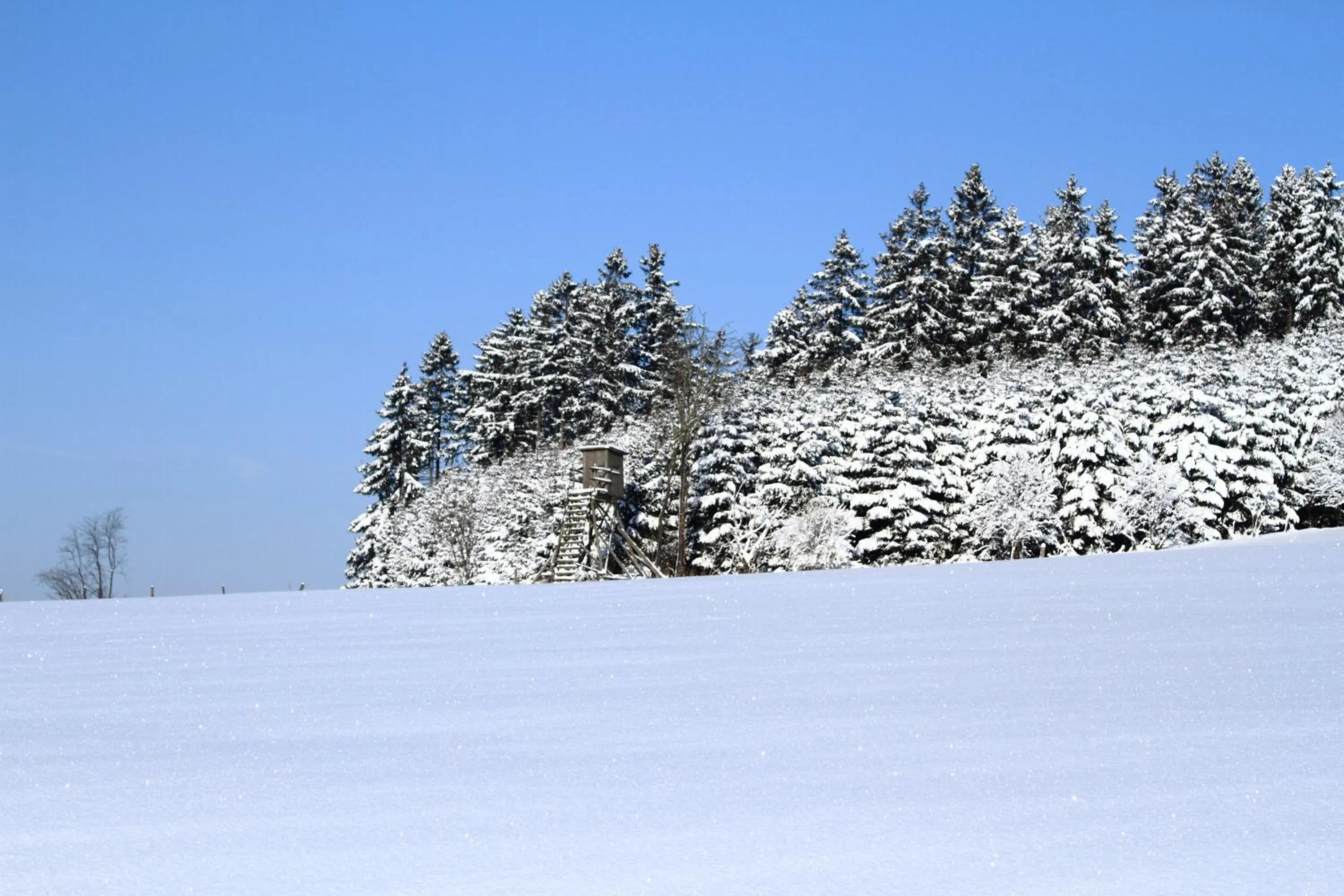 Skiing in Hotel Schneider