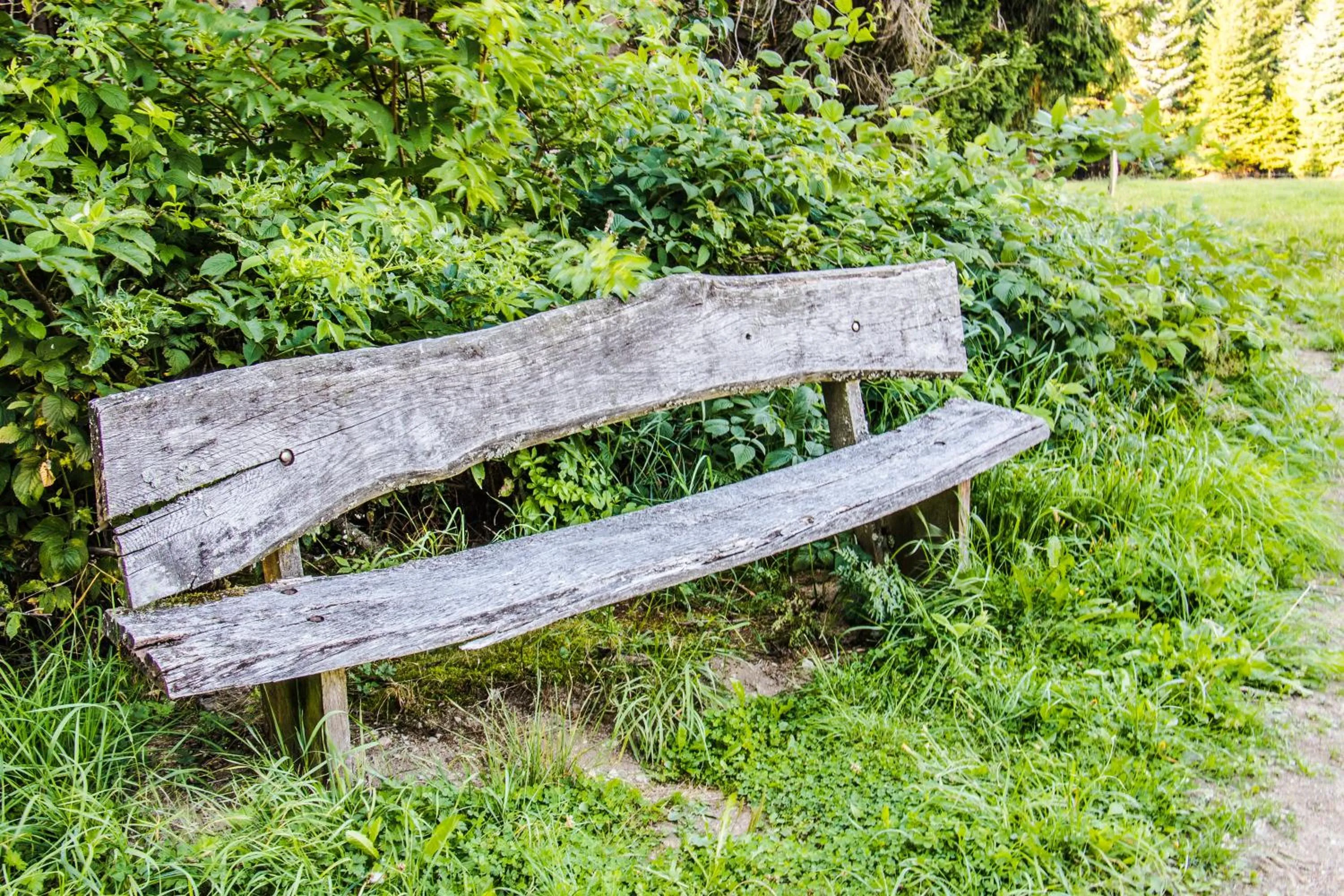 Hiking in Hotel Schneider