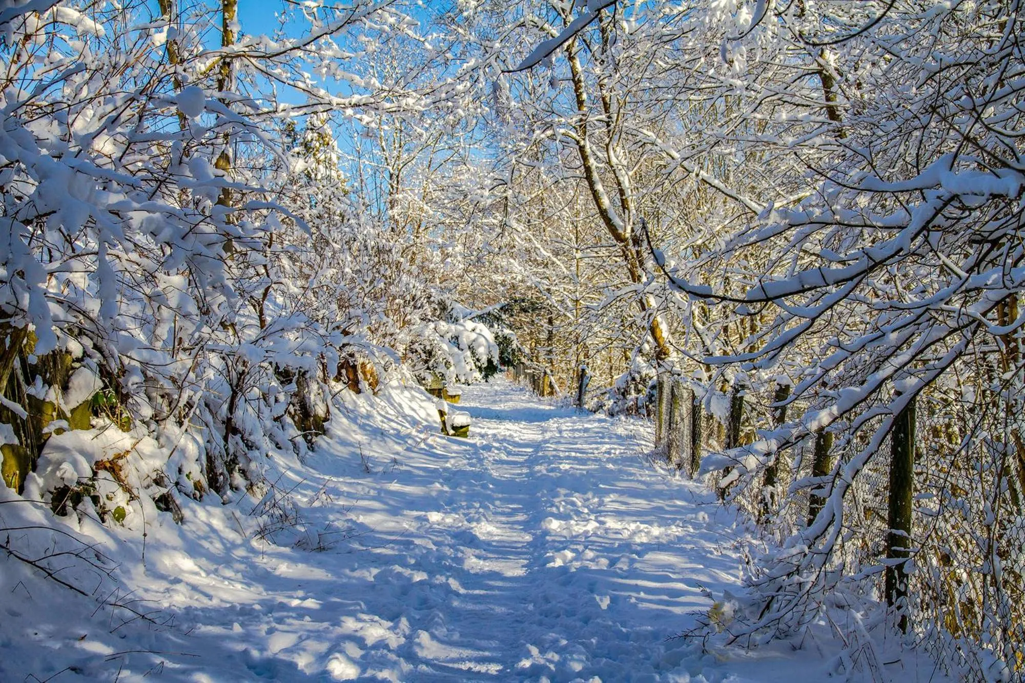 Hiking in Hotel Schneider