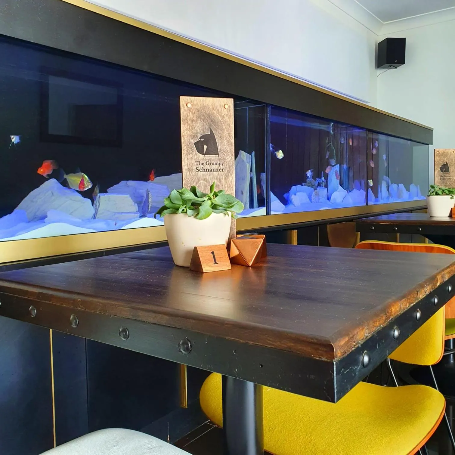 The Orange Fox Lux Room and Hot Tub at The Grumpy Schnauzer Guest House