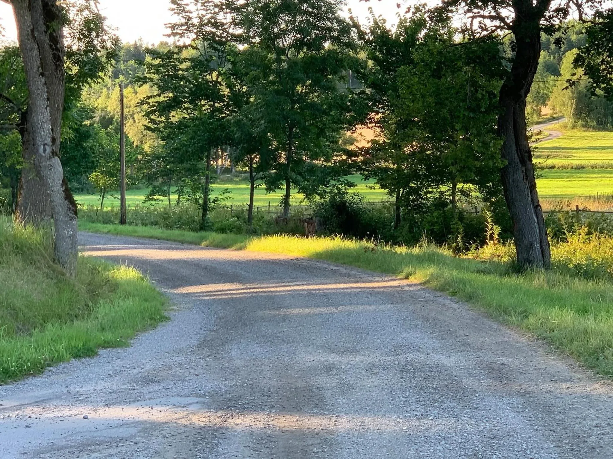 View (from property/room) in Johannesbergs Slott