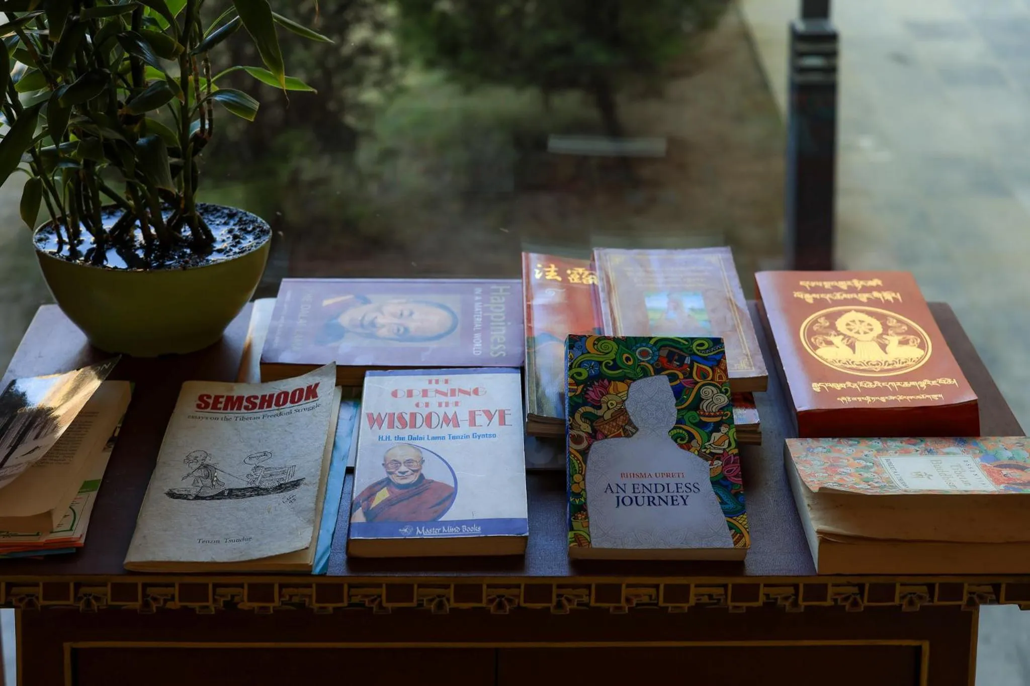 Library in Hotel Dolmaling