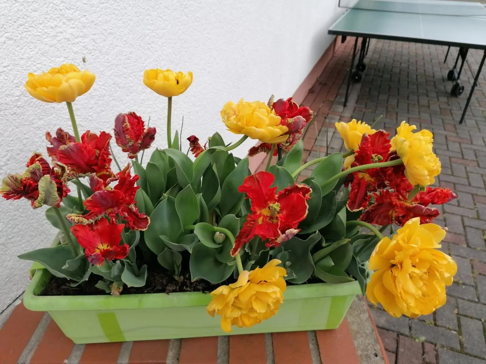 Property building in Hotel Landhaus Nassau