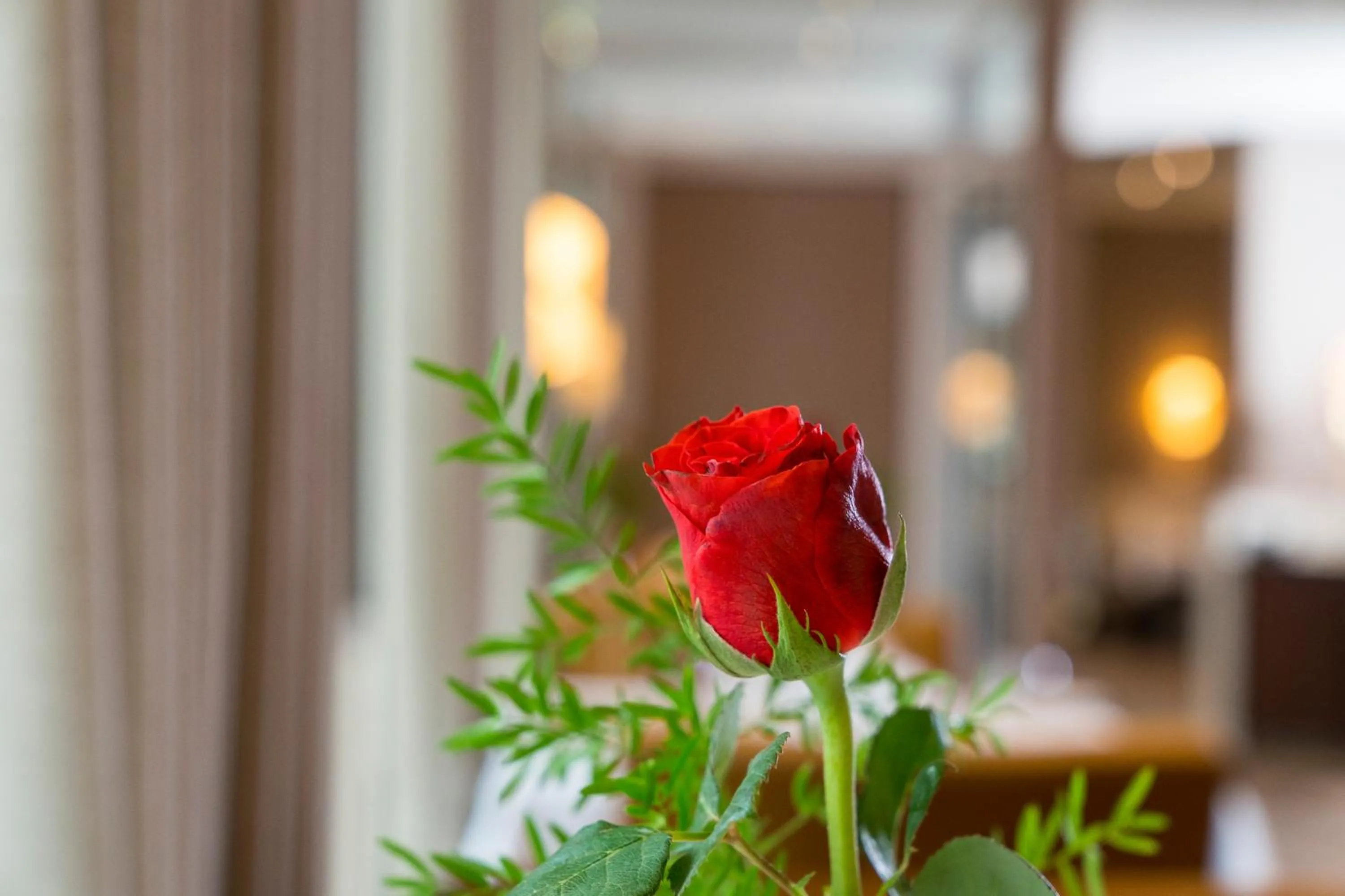 Drinks in Hotel von Euch