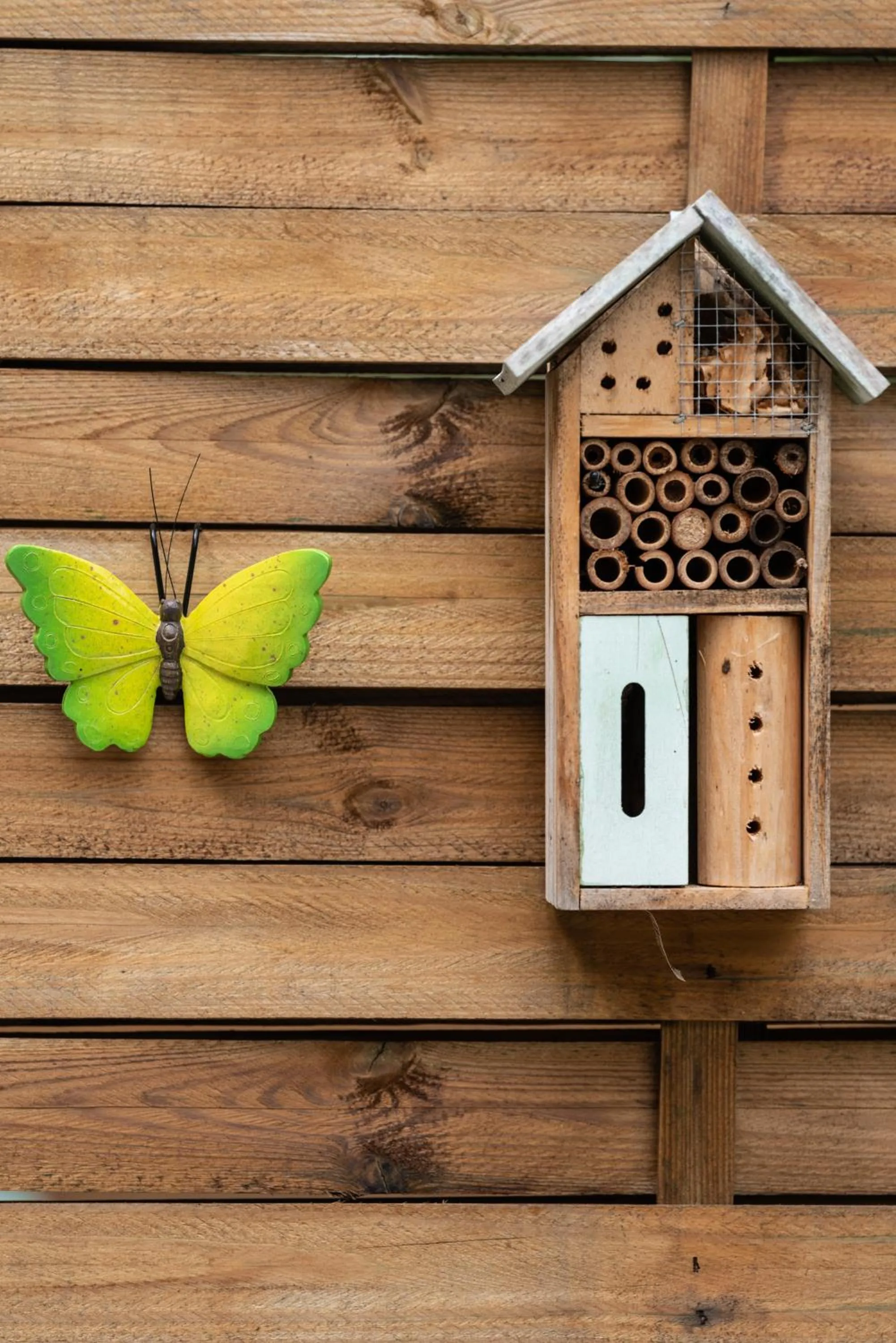 Domaine mon doux rêve