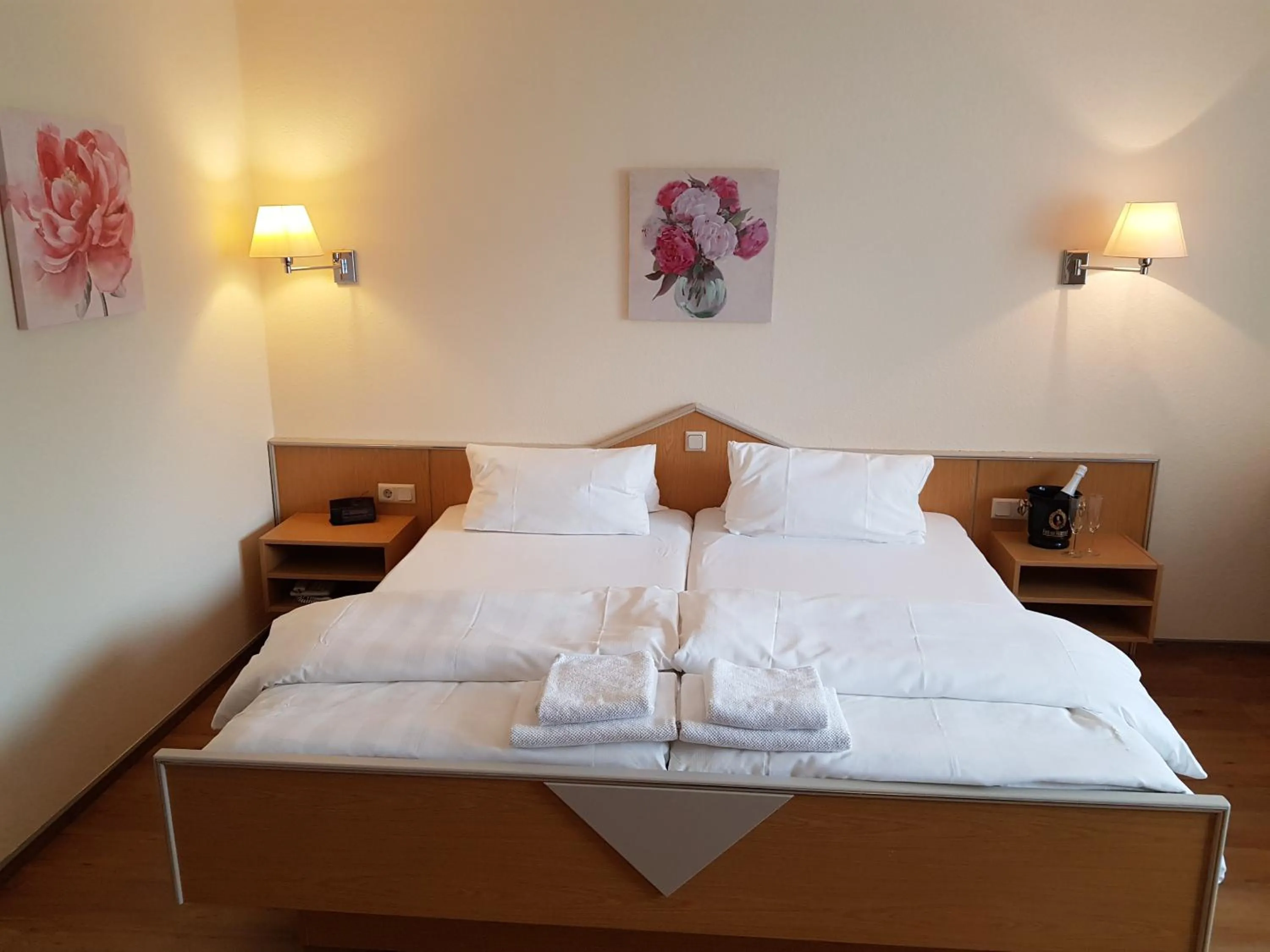 Large Double Room in Hotel Penterknapp