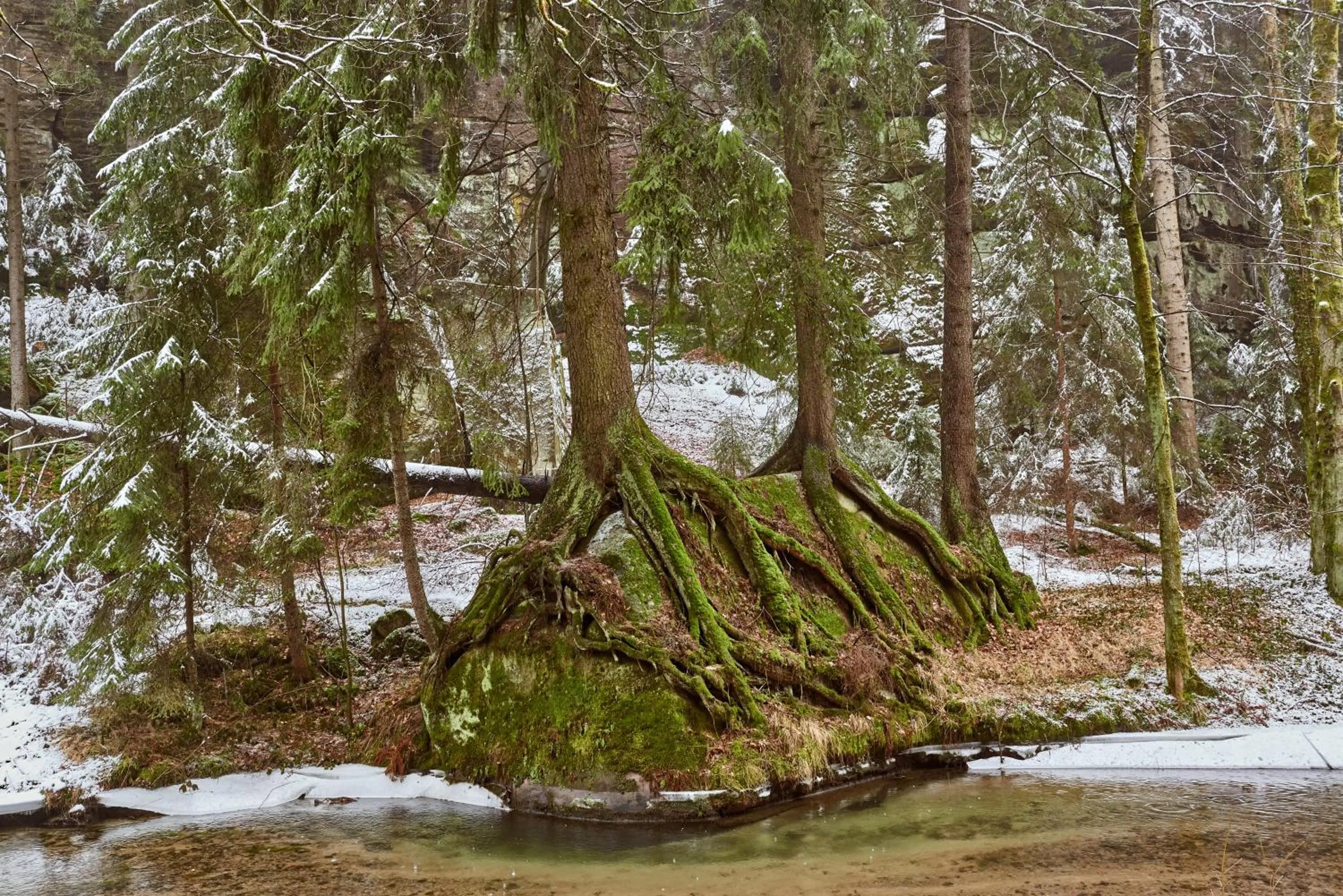 Natural landscape in Hotel Amselgrundschlößchen