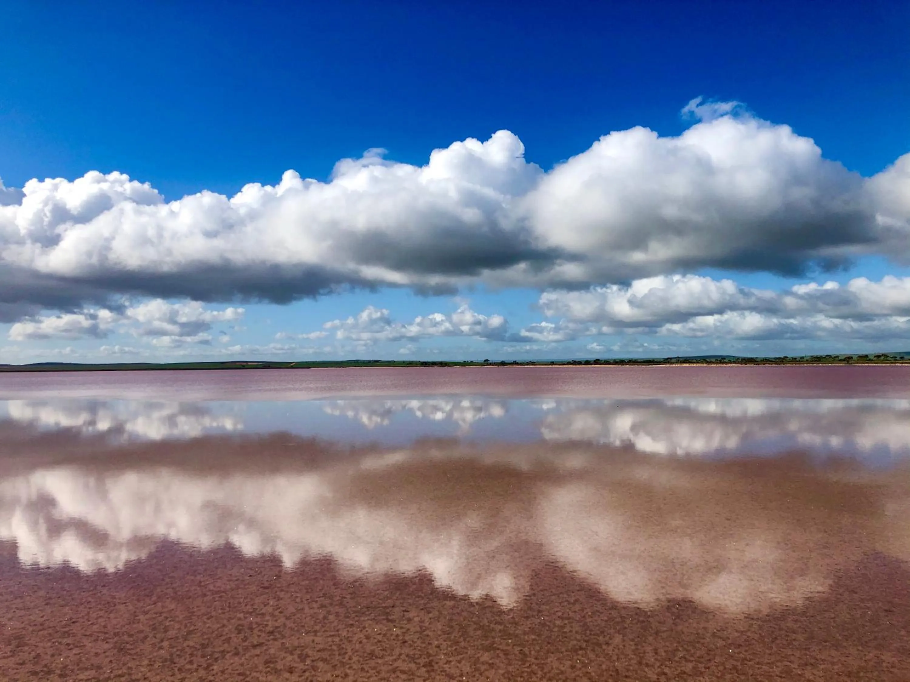 Nearby landmark in The Pink Lake Tiny House - 'Sakura'