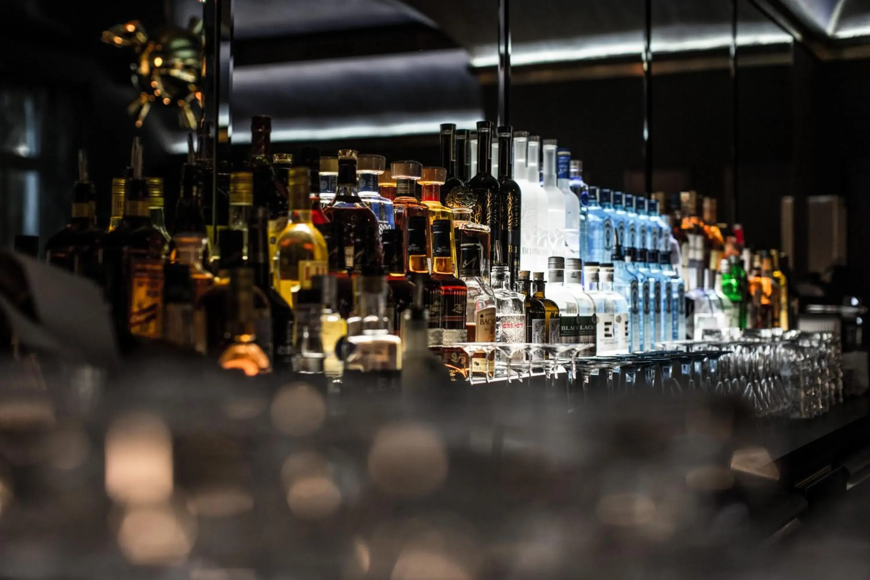 Lounge or bar in Louisa's Place Lounge or bar in Louisa's Place