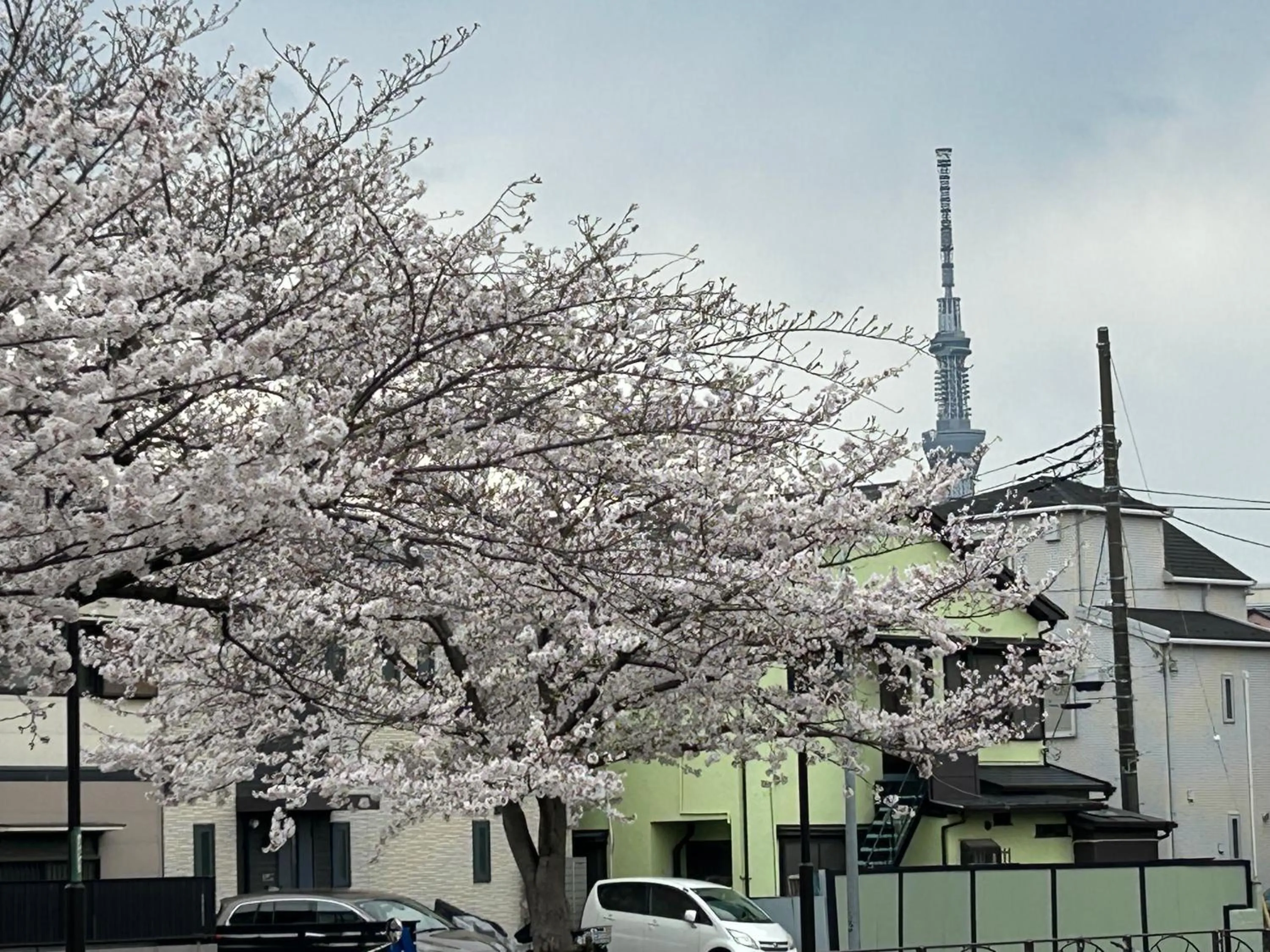 Neighbourhood in Tokyo Enjoy Hotel