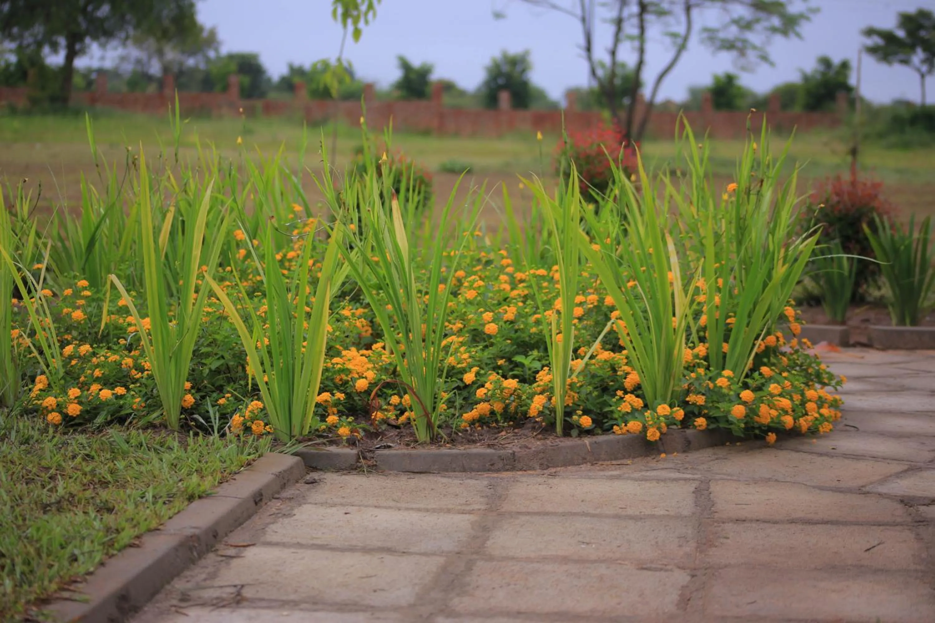 Garden in Acaki Lodge