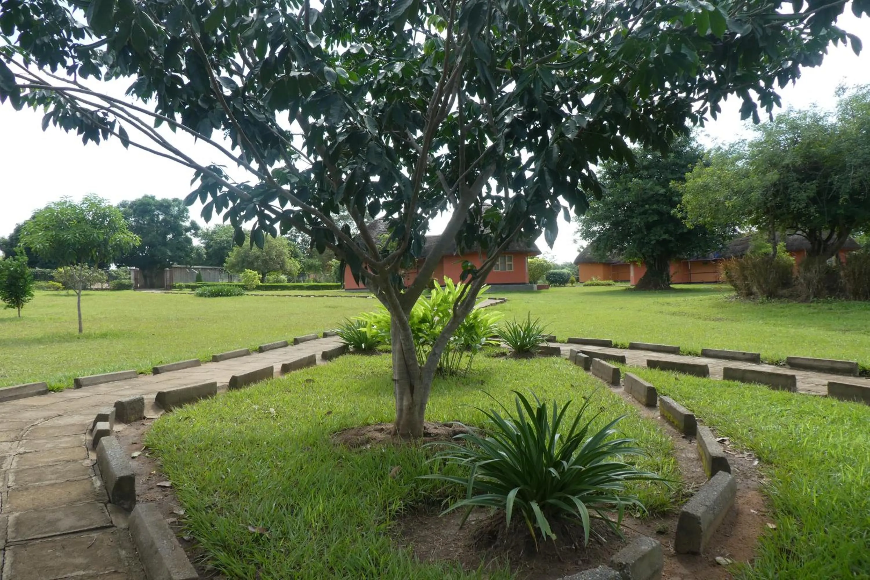 Garden in Acaki Lodge