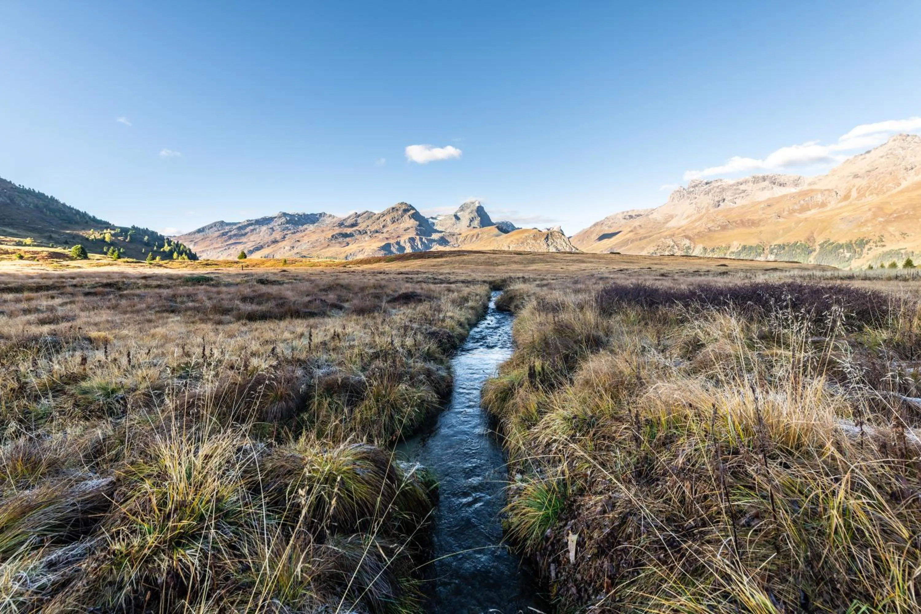 Natural landscape in AVES Hotel Savognin