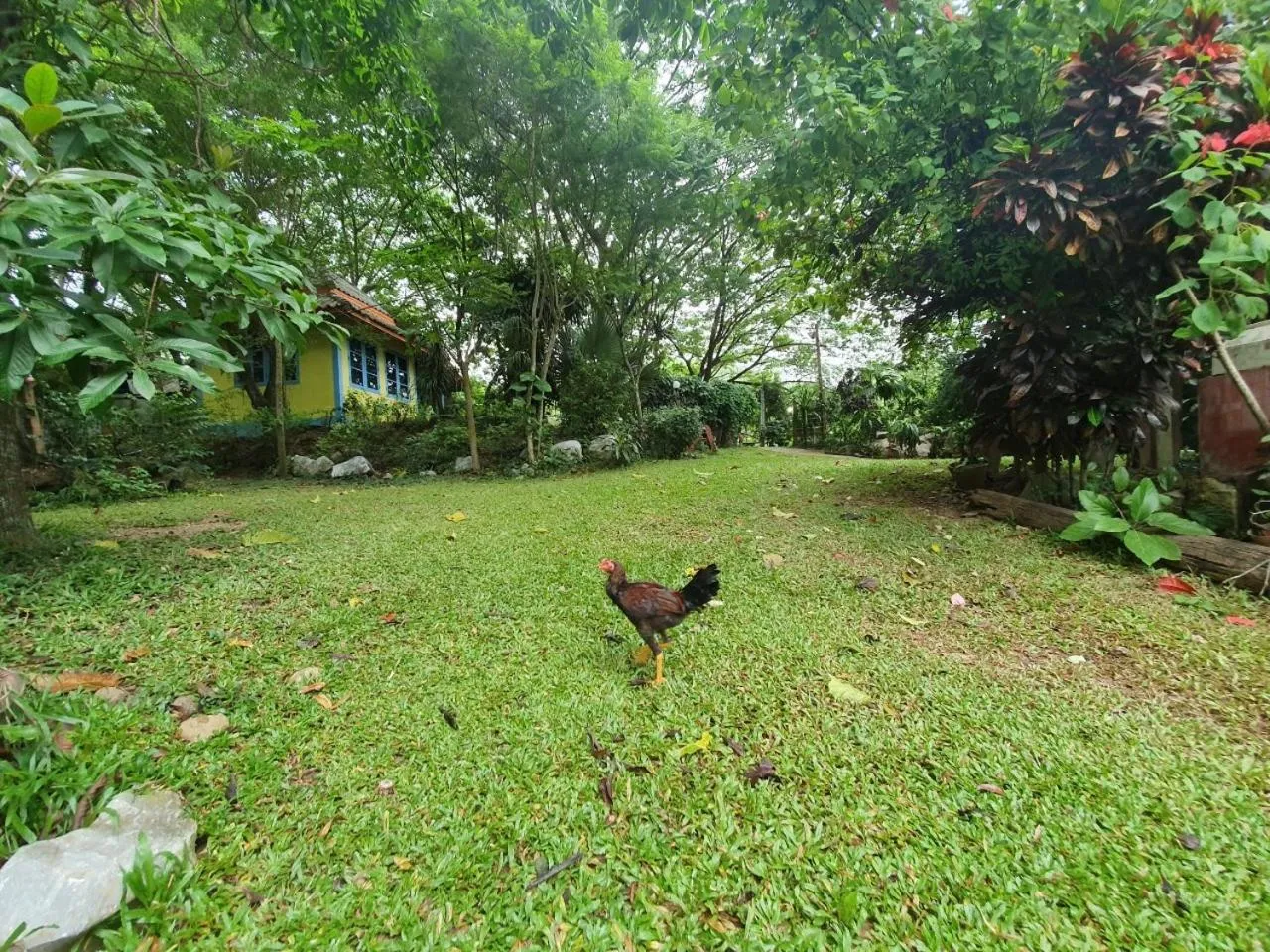 Day in Putan-namsai Resort