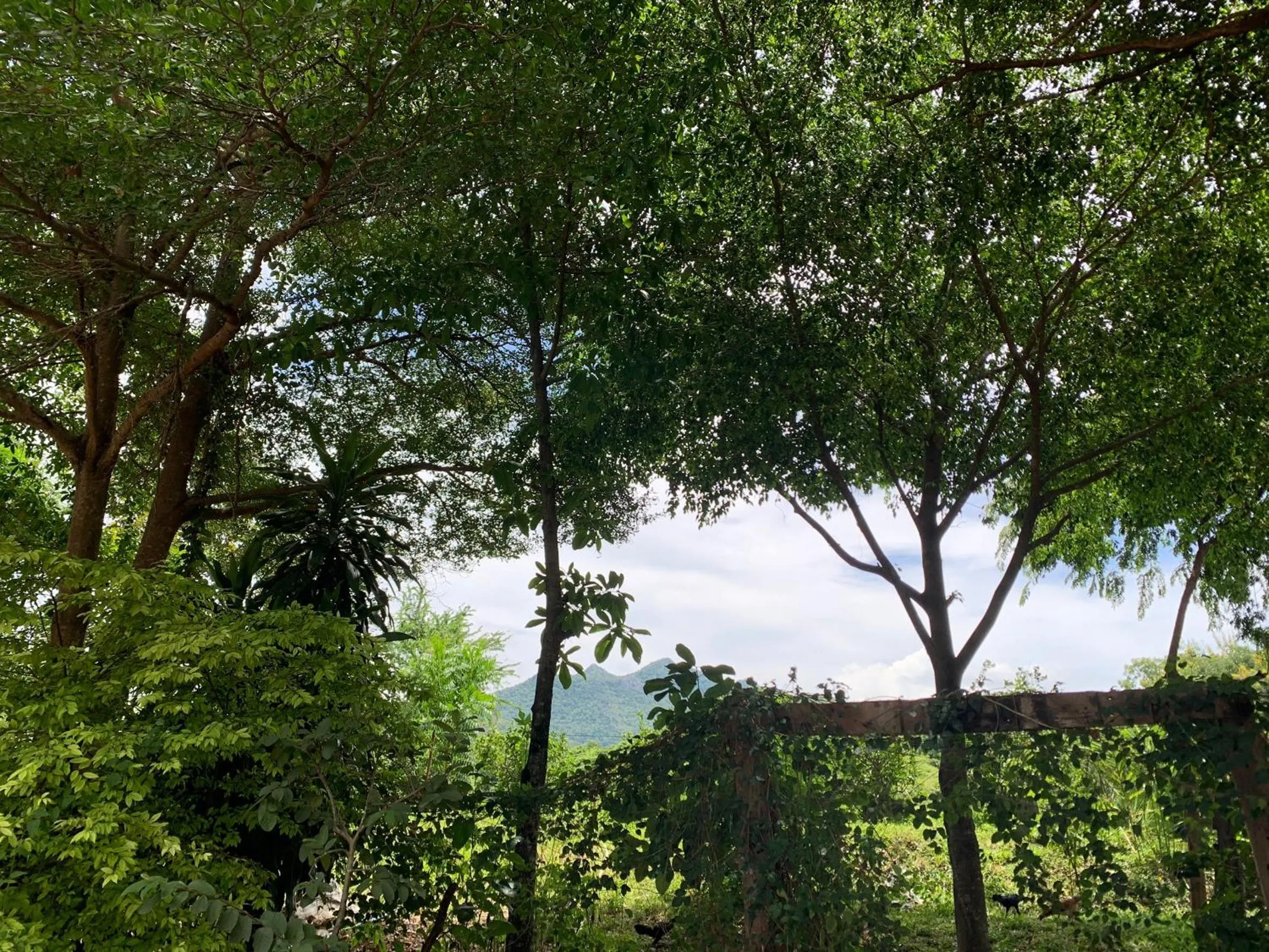 Day in Putan-namsai Resort