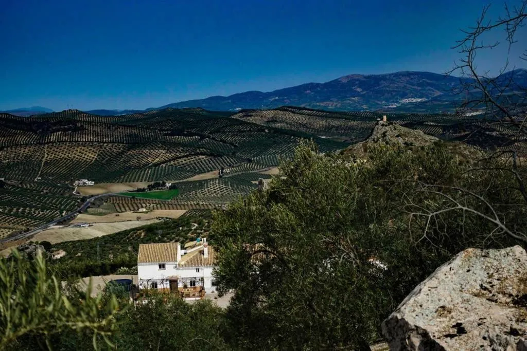New Leaf Cortijo Apartment ,Moclin