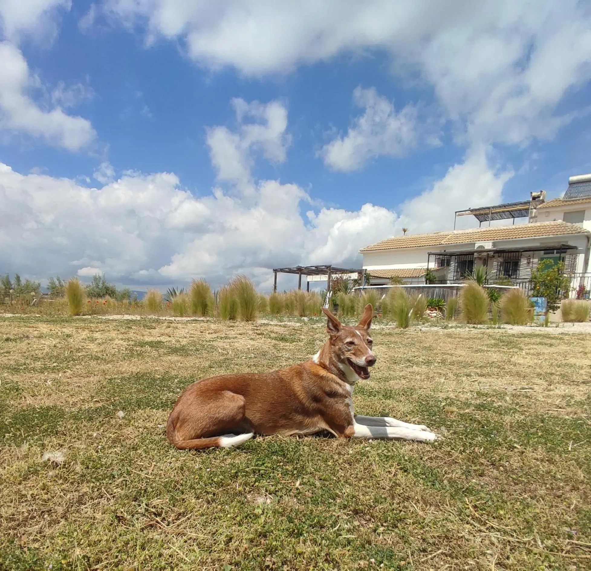 New Leaf Cortijo Apartment ,Moclin