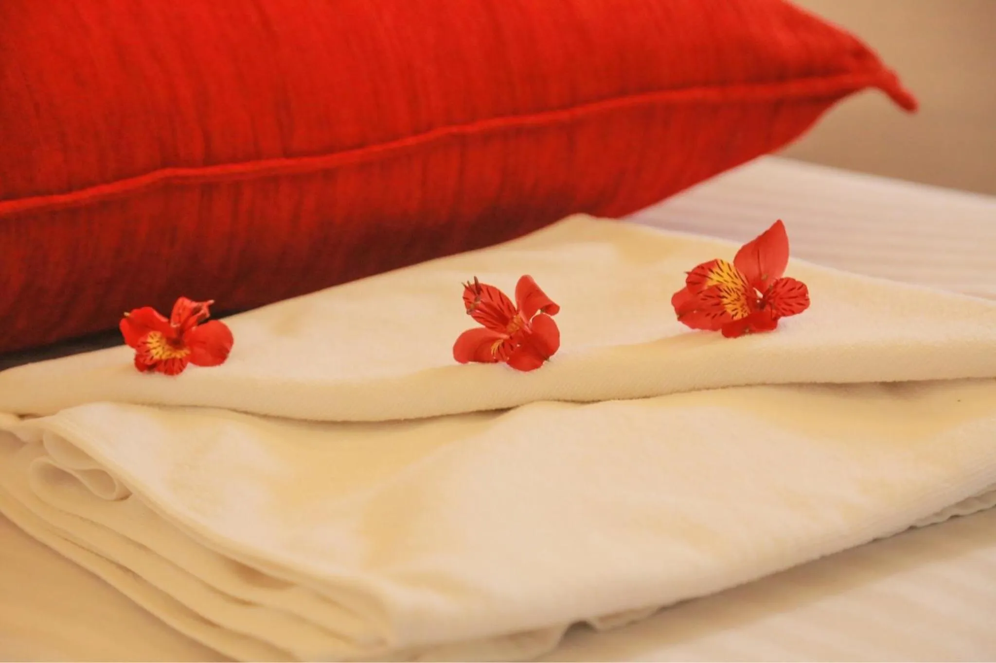 Bed in Inroma Holiday Resort