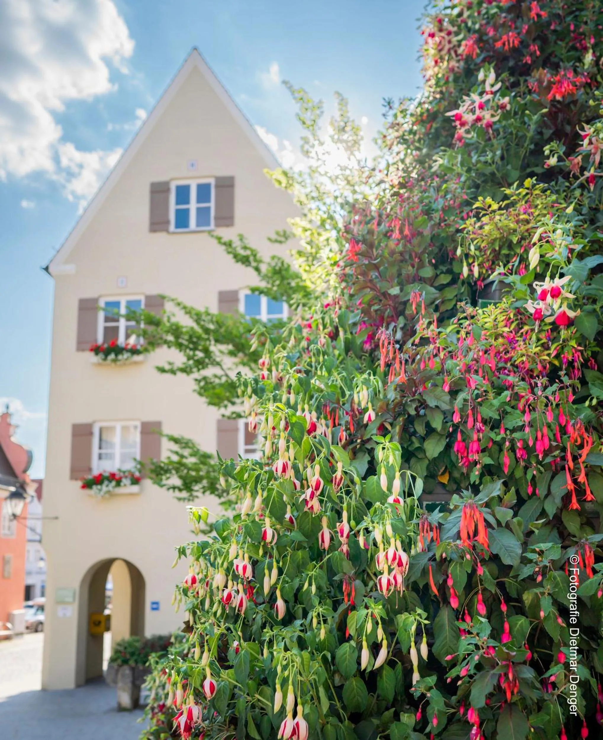 Activities in Schieners Hotel & Apfelhof Apartments