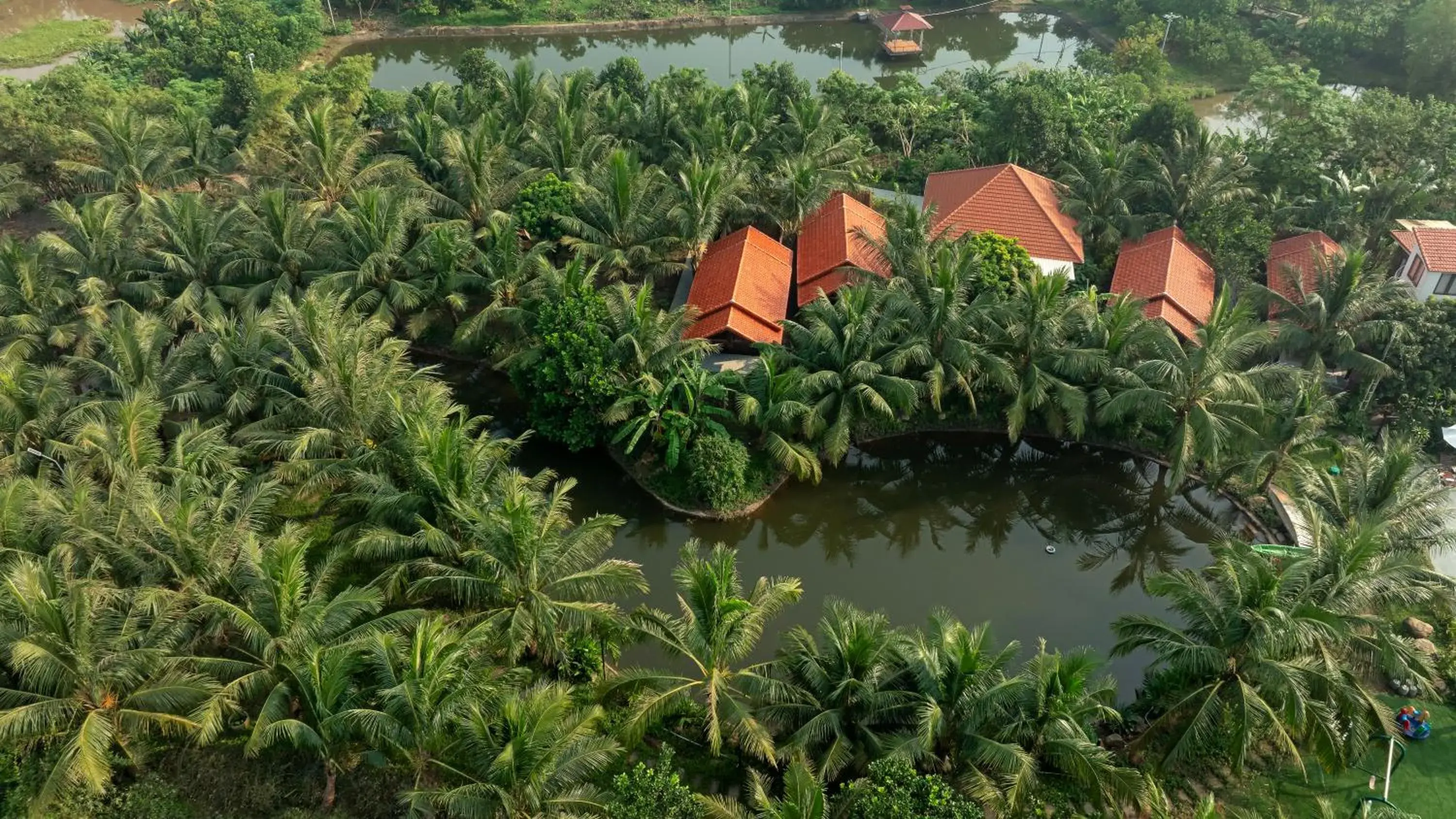 Bird's eye view in Nature Garden Ecolodge Ninh Bình Bird's eye view in Nature Garden Ecolodge Ninh Bình