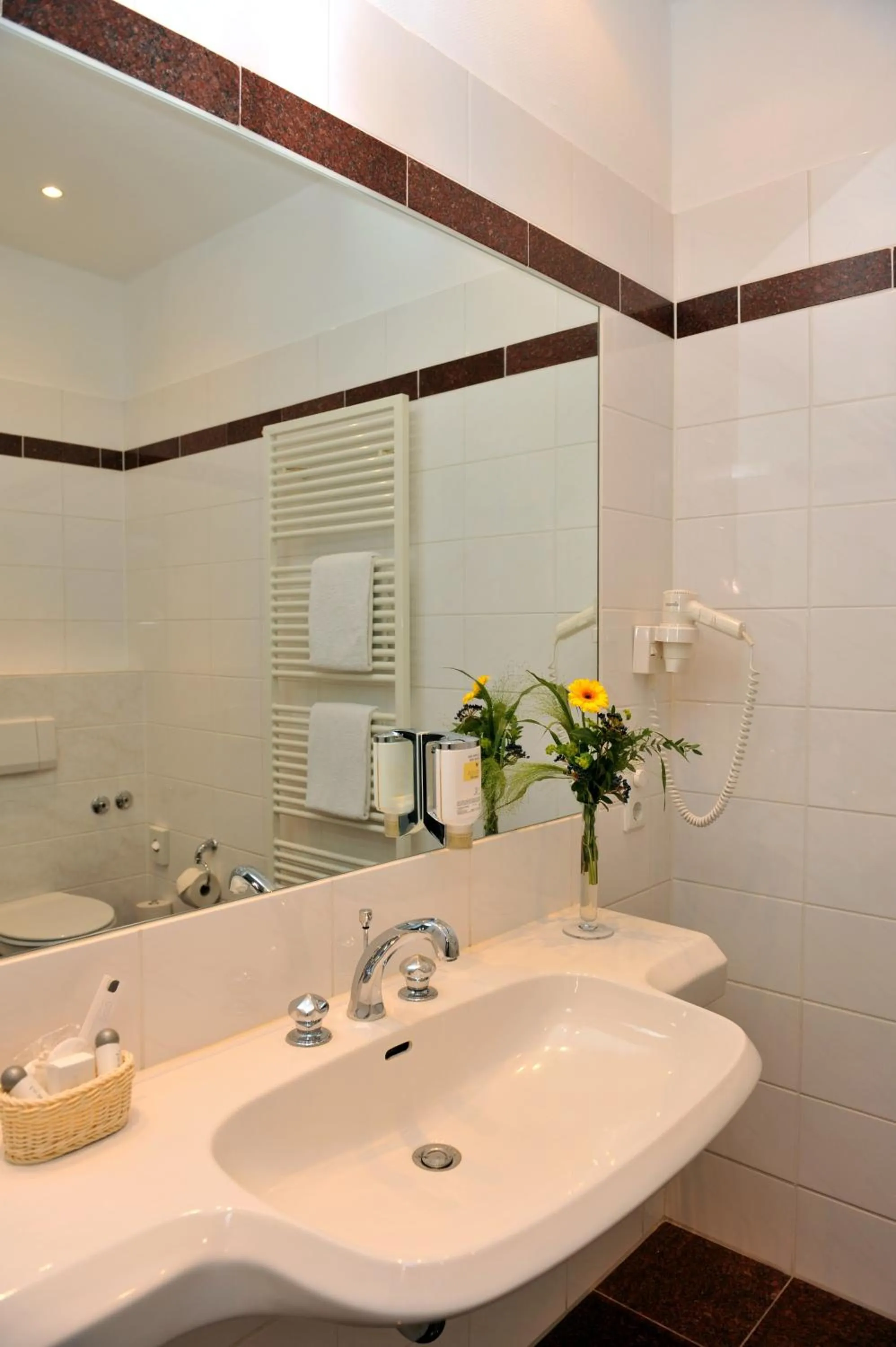 Toilet in Hotel Fürst Bismarck