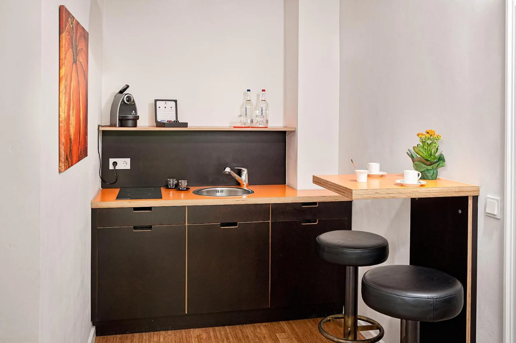 Kitchen or kitchenette in Das Gästehaus der Elb Lounge "Self Check In"