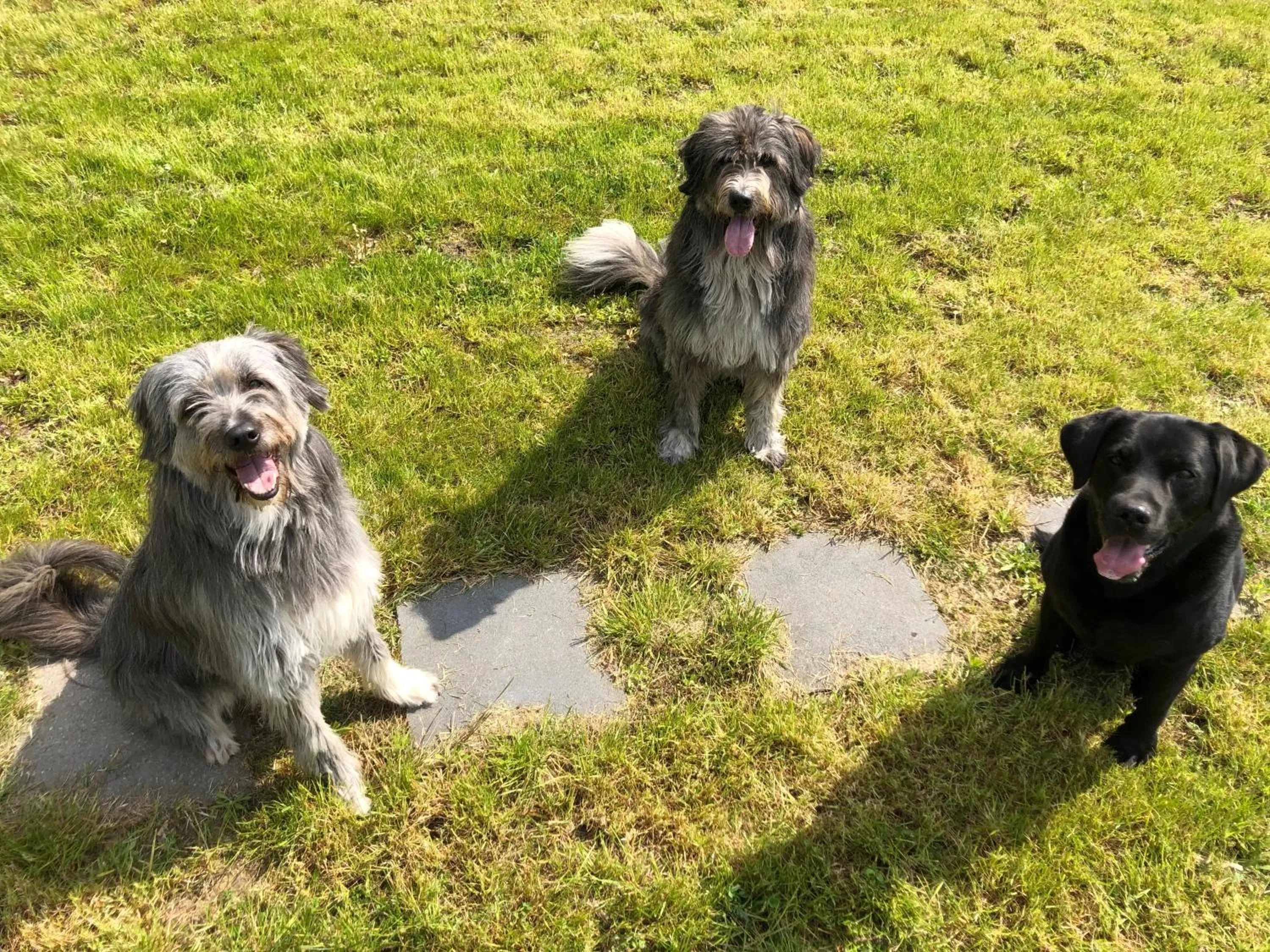 Property building in Hotel am Schlosspark Herten