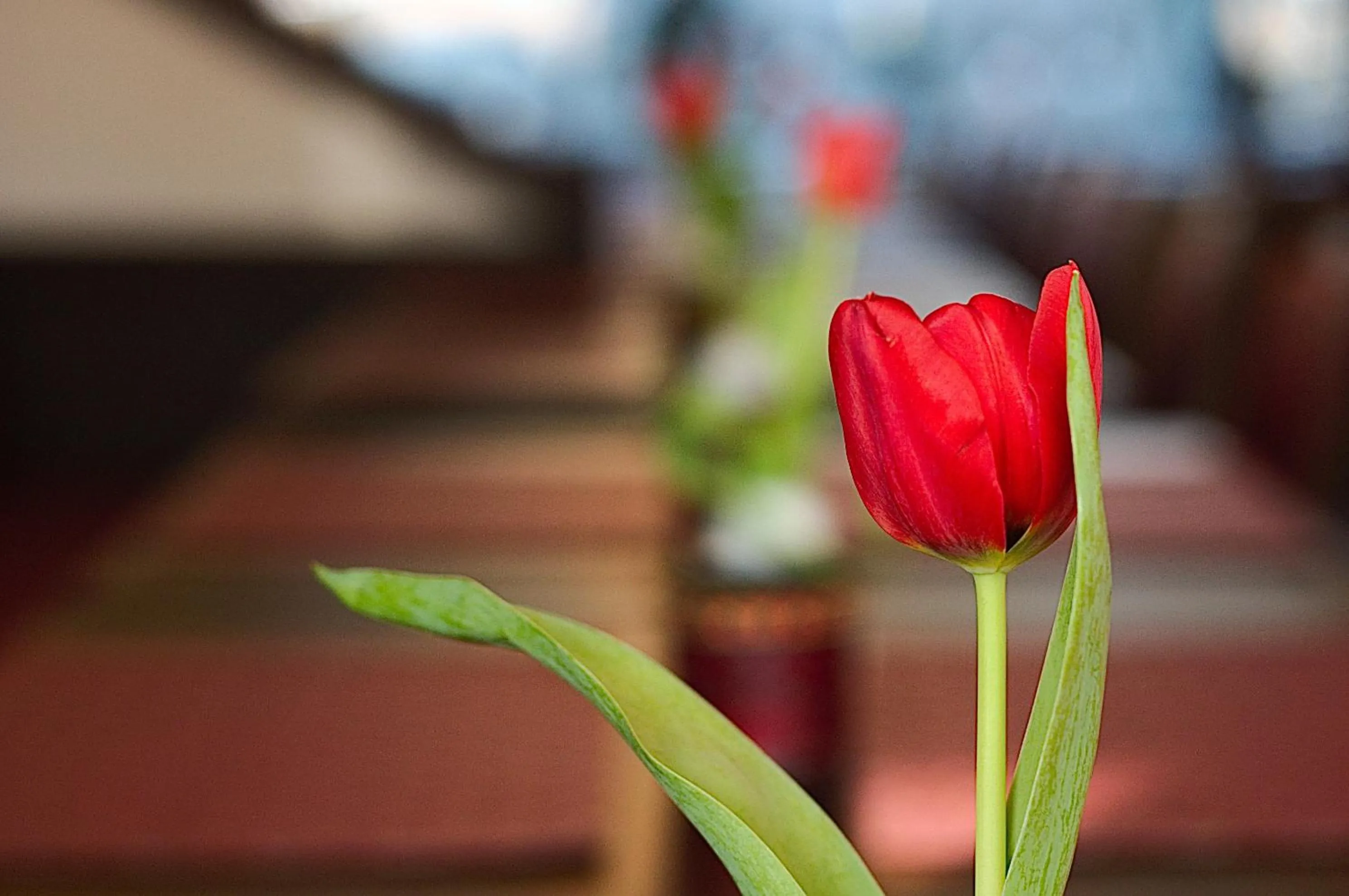 Other in Hotel Wiking