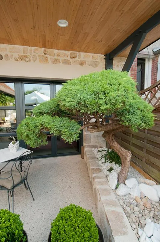 Patio in Logis Hotel Restaurant Nougier