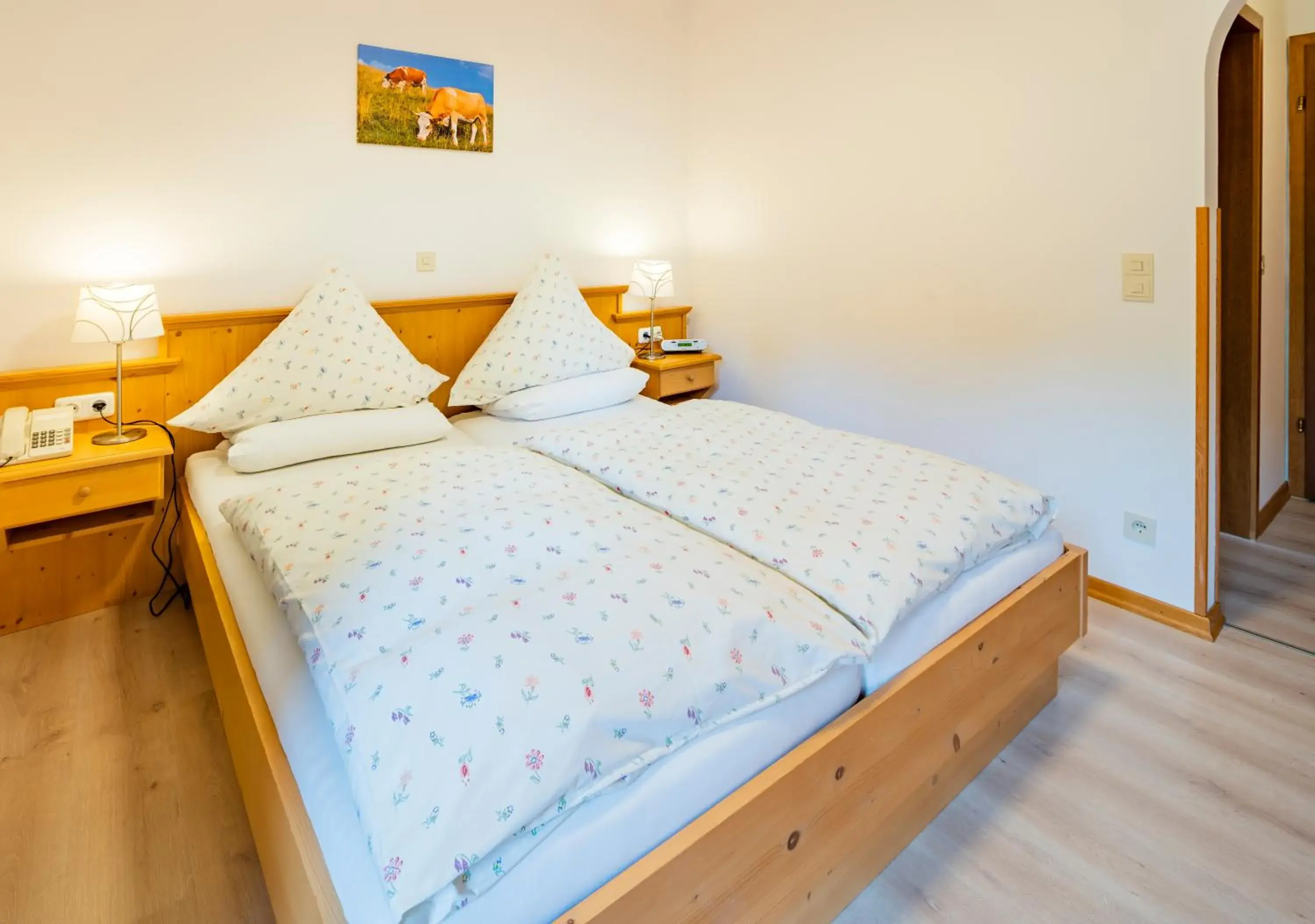 Economy Double Room in Hotel-Pension-Ostler Economy Double Room in Hotel-Pension-Ostler