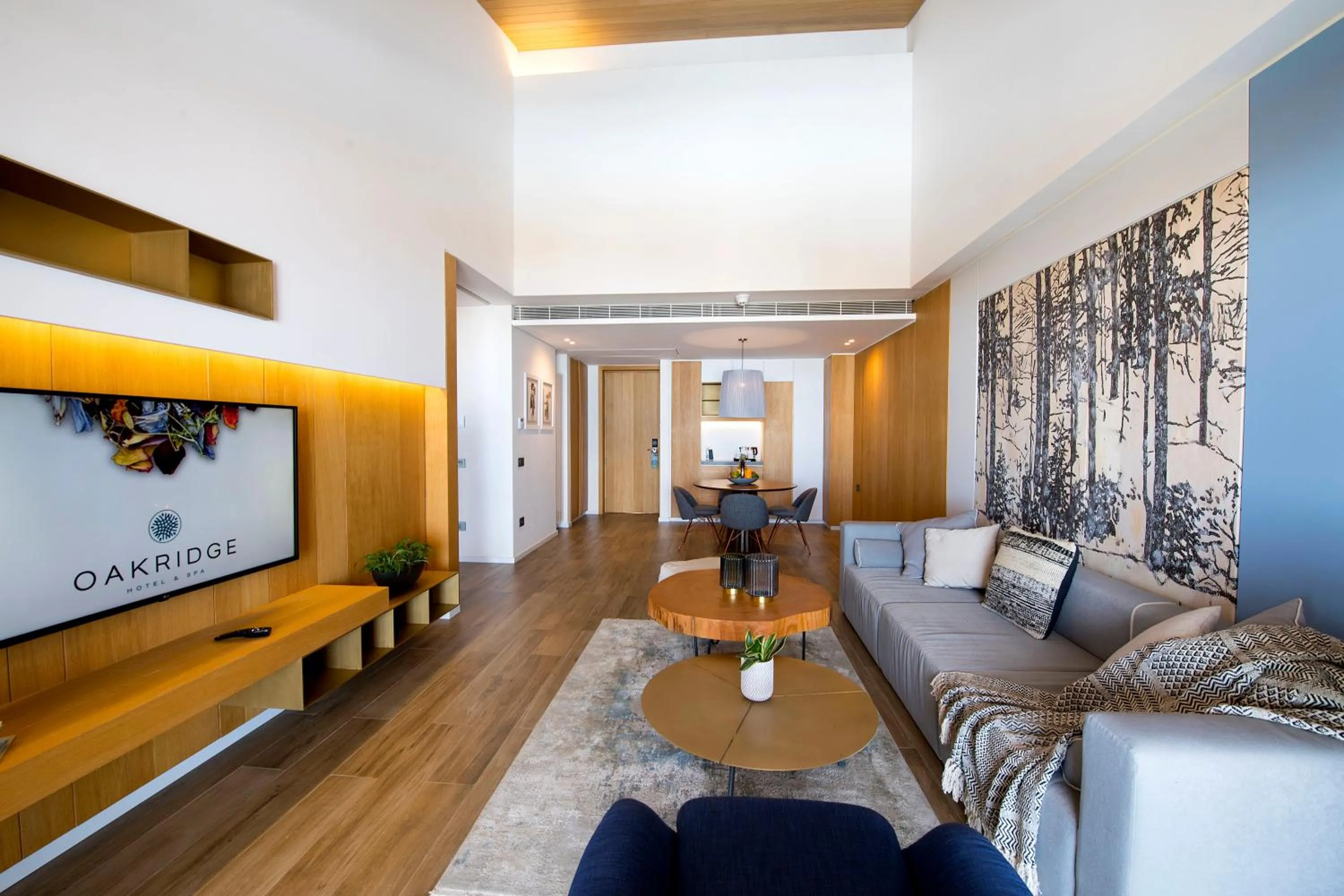 TV and multimedia in Oakridge Hotel & Spa