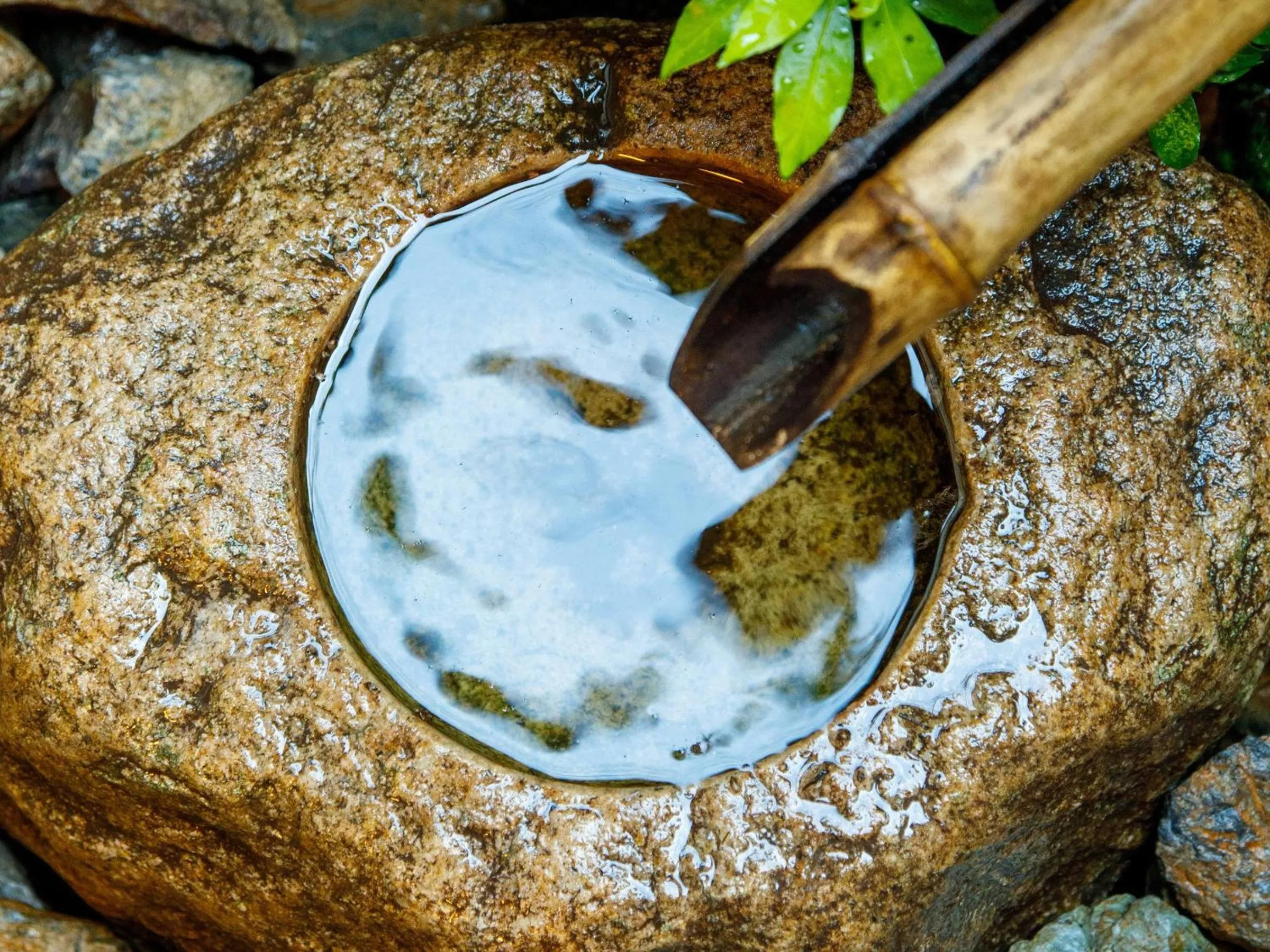 Garden in Connect inn Gion-Bishamoncho