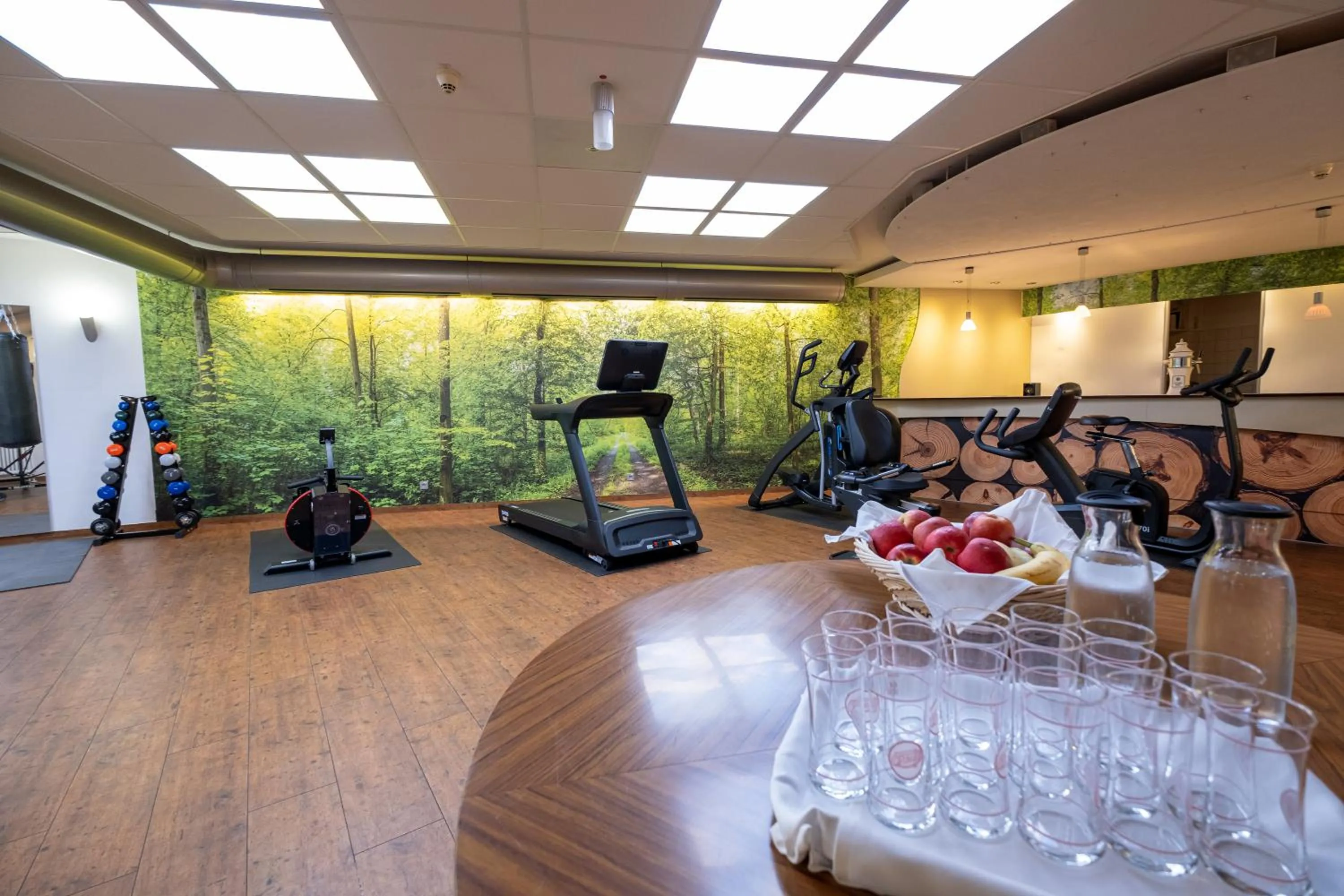Fitness centre/facilities in Hotel Am Froschbächel
