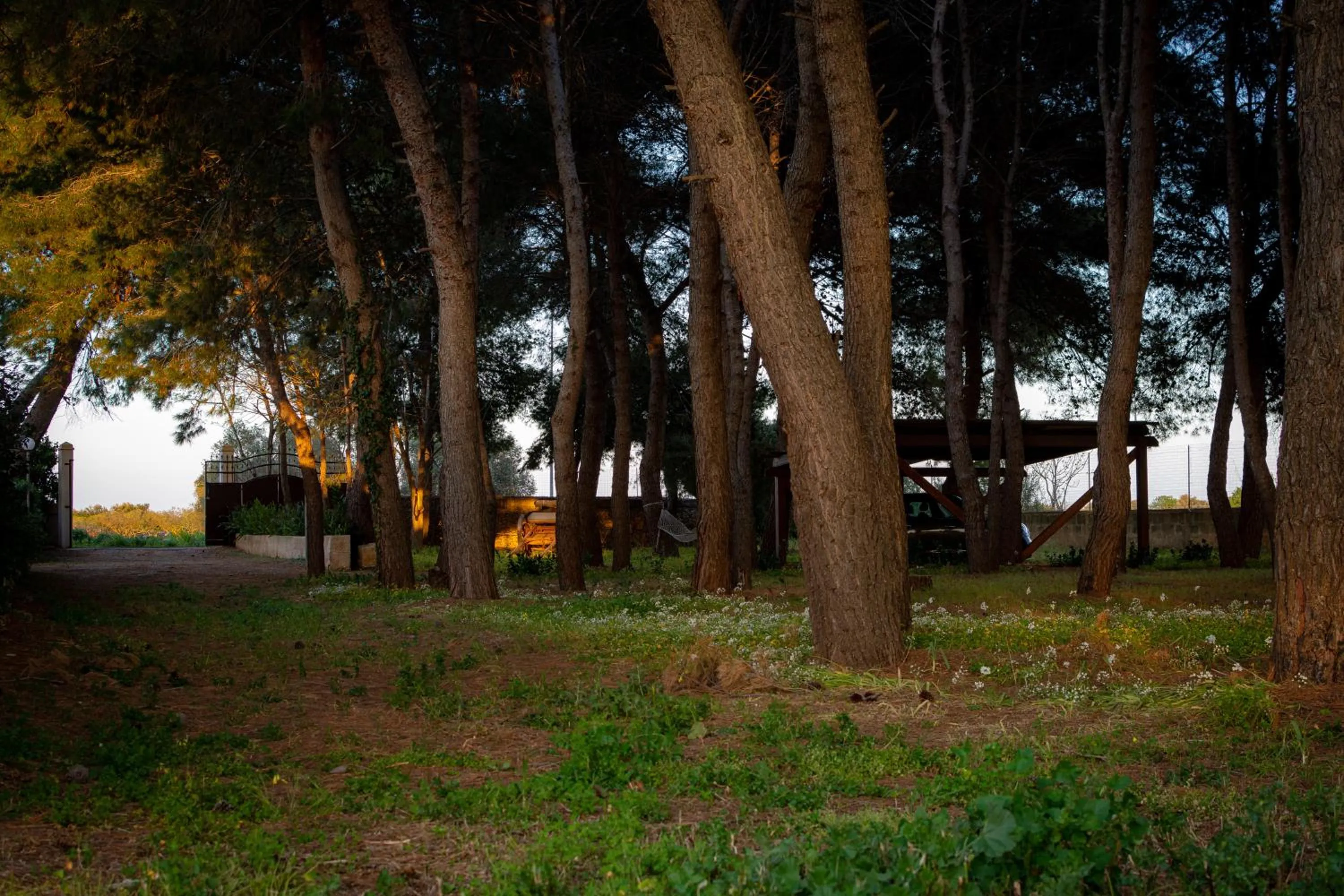 Natural landscape in Antica Casina B&B di Charme