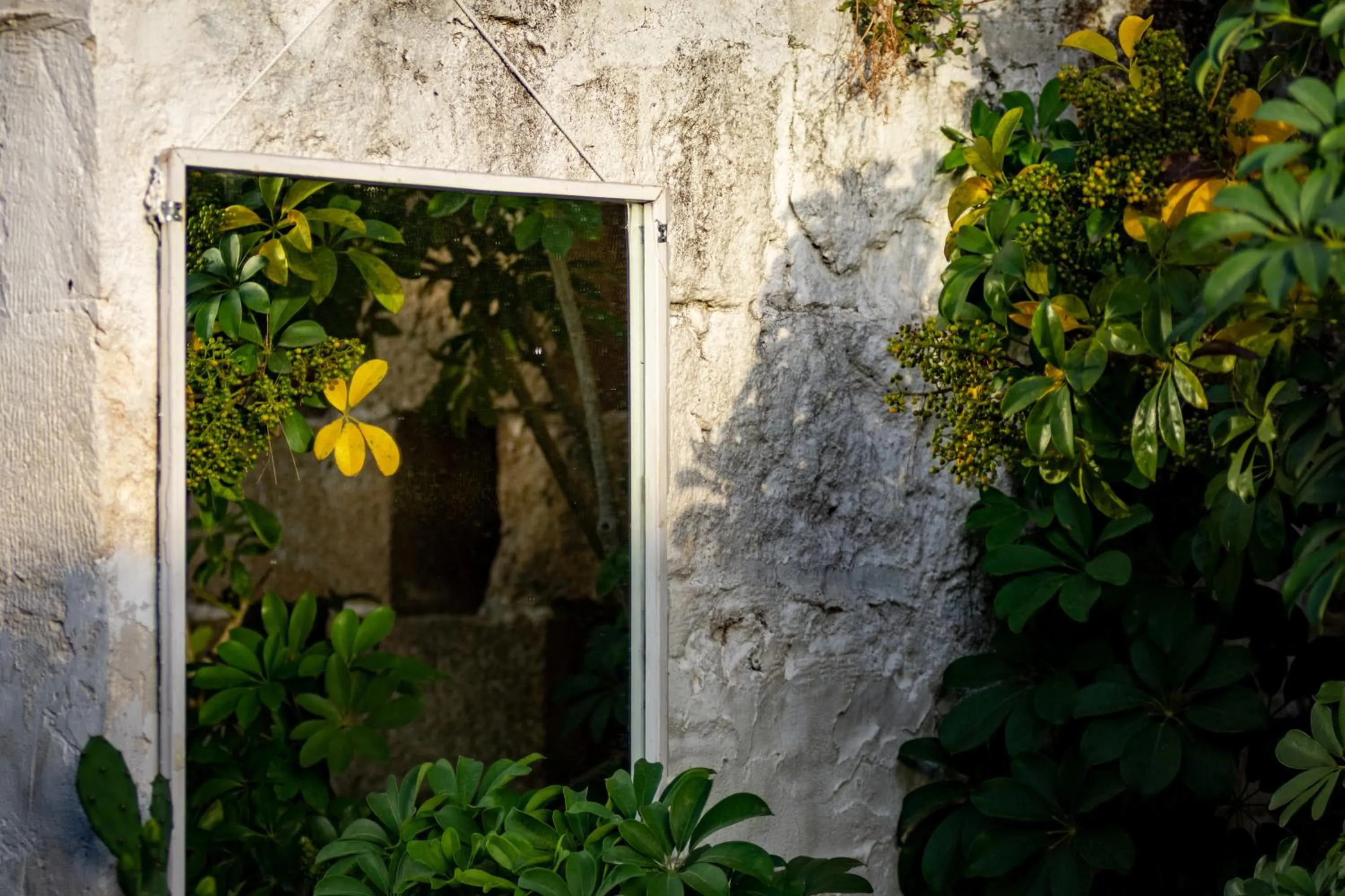 Garden in Antica Casina B&B di Charme