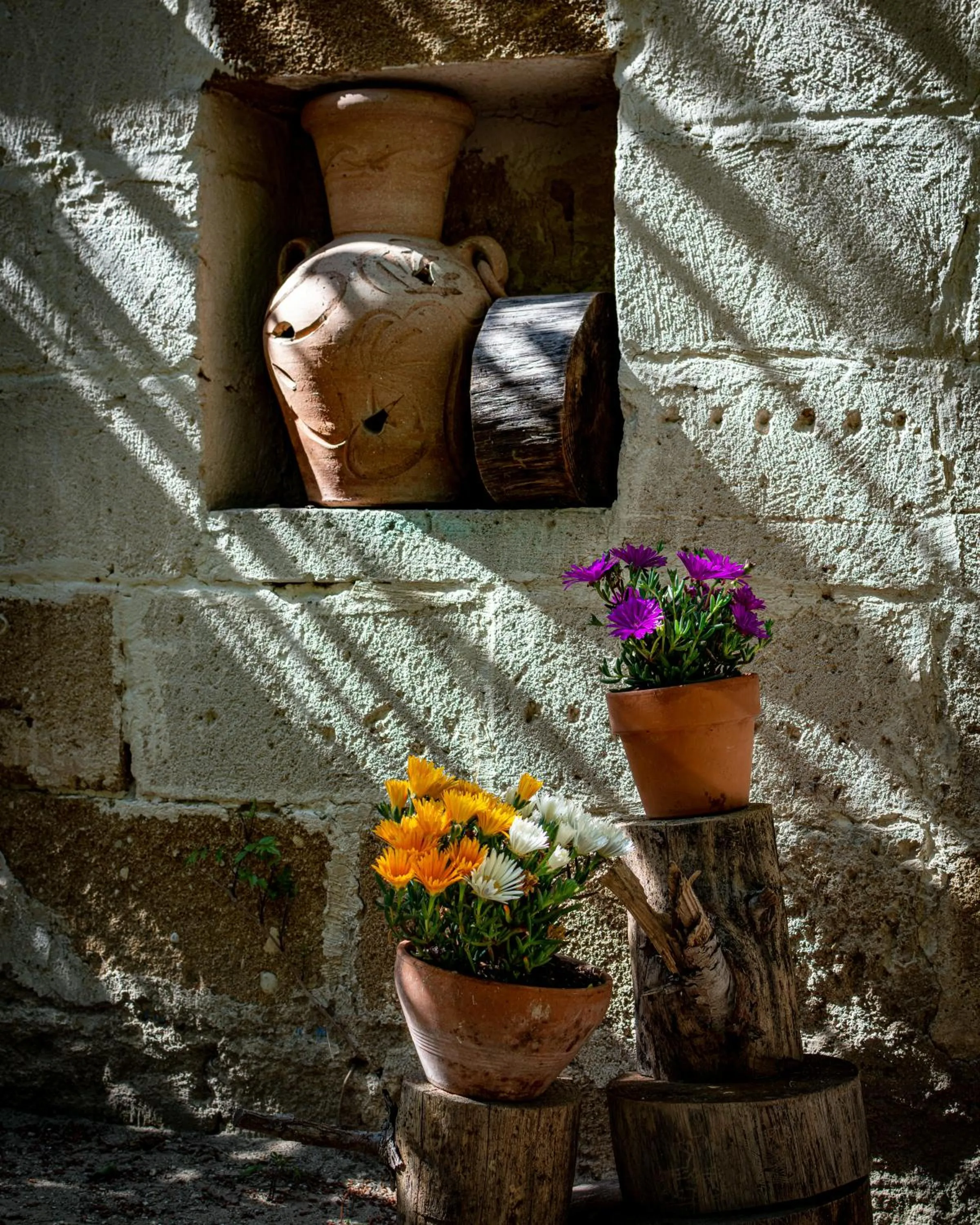 Garden in Antica Casina B&B di Charme