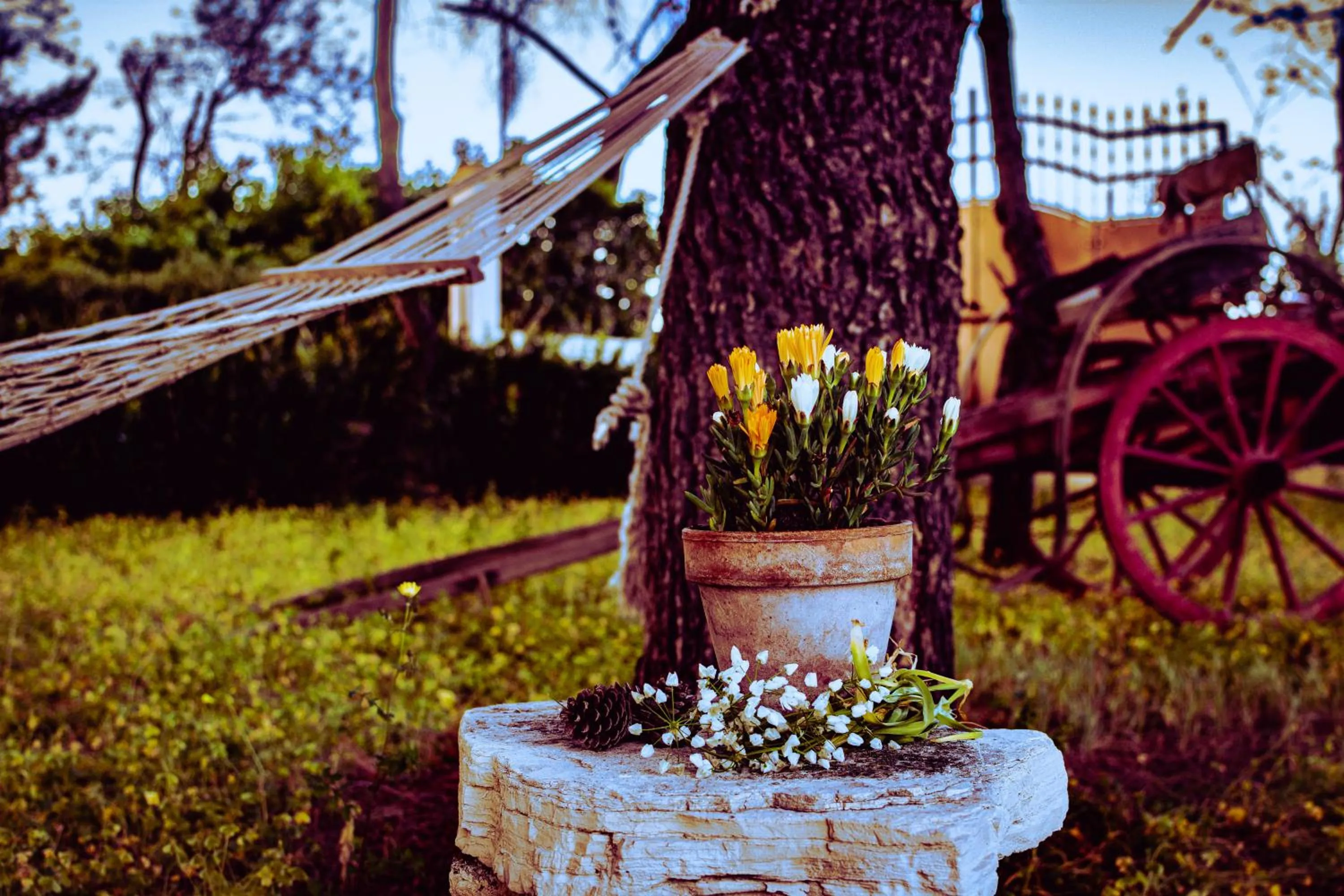 Natural landscape in Antica Casina B&B di Charme