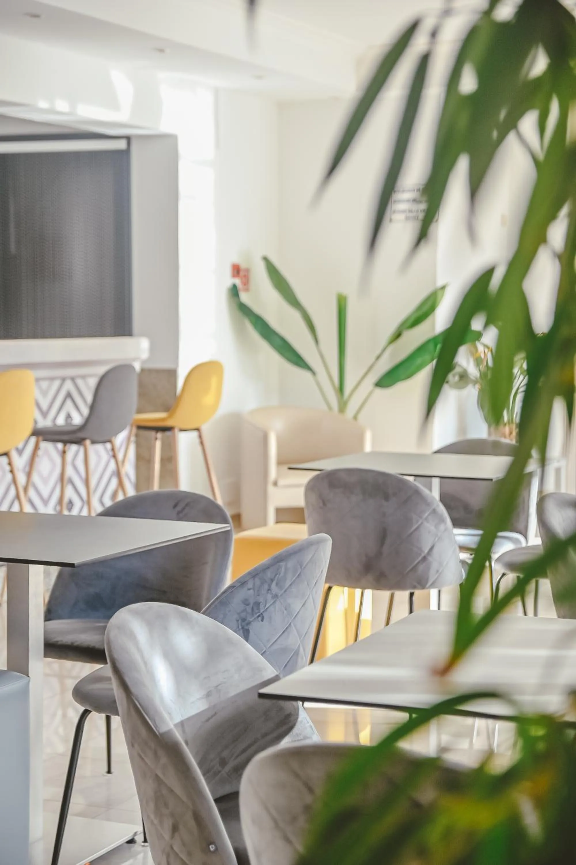 Area and facilities in Hotel LLITERAS