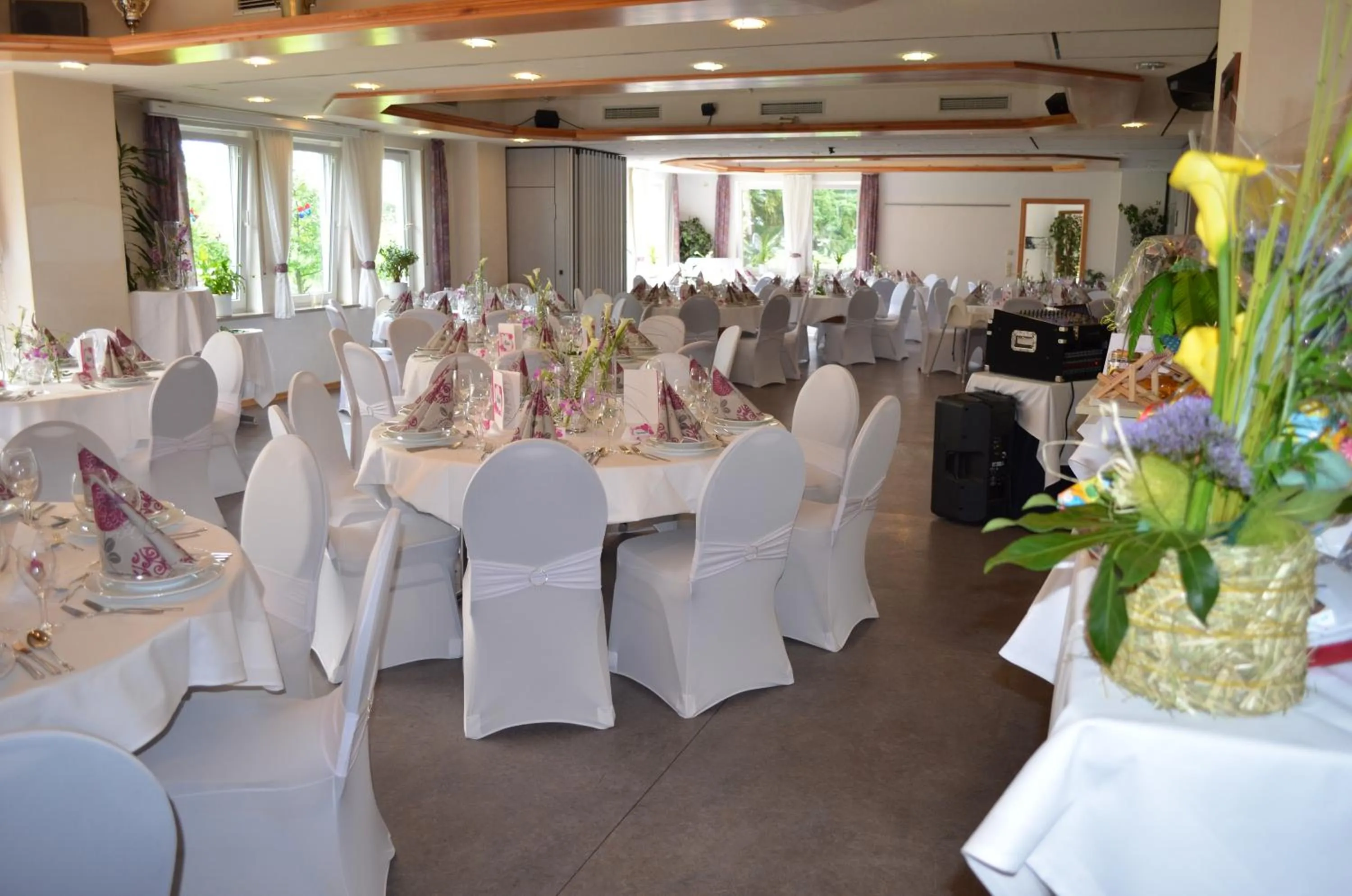 Banquet/Function facilities in Hotel Sonneck