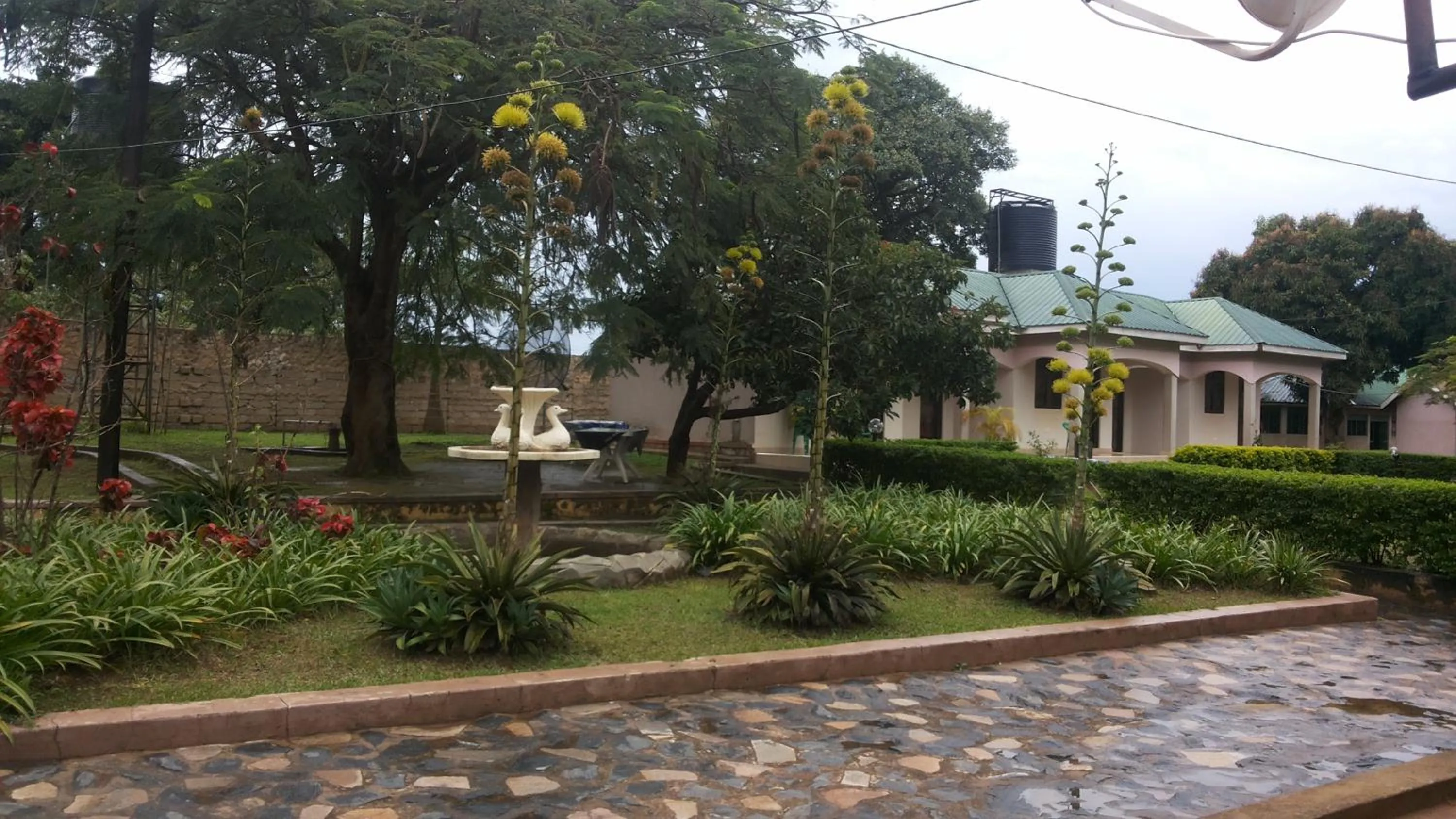 Garden in Blue Dove Koboko