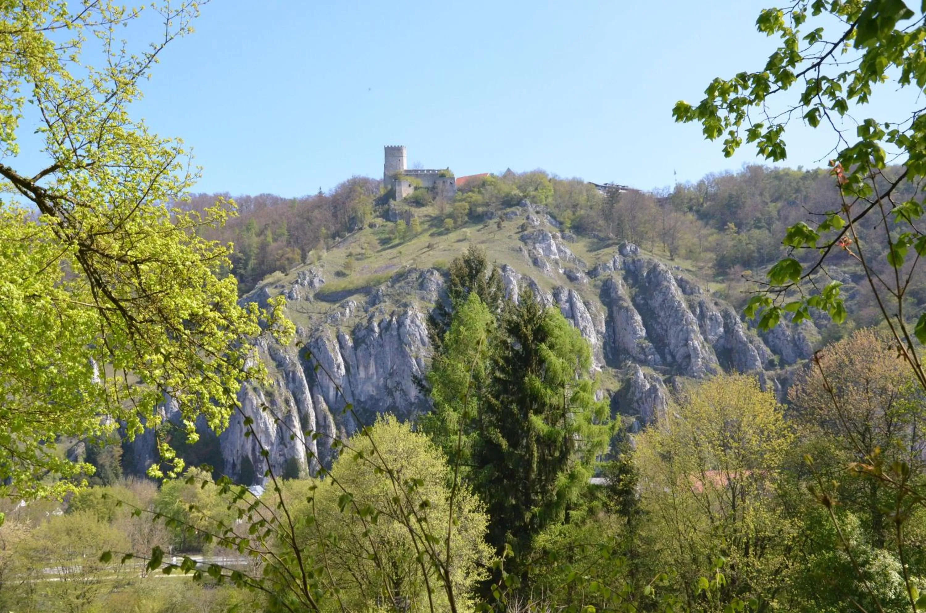 Staff in Gasthof Krone