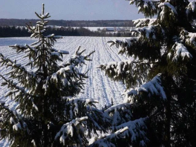 View (from property/room) in ReVital & Wohlfühlhotel Steimker Hof