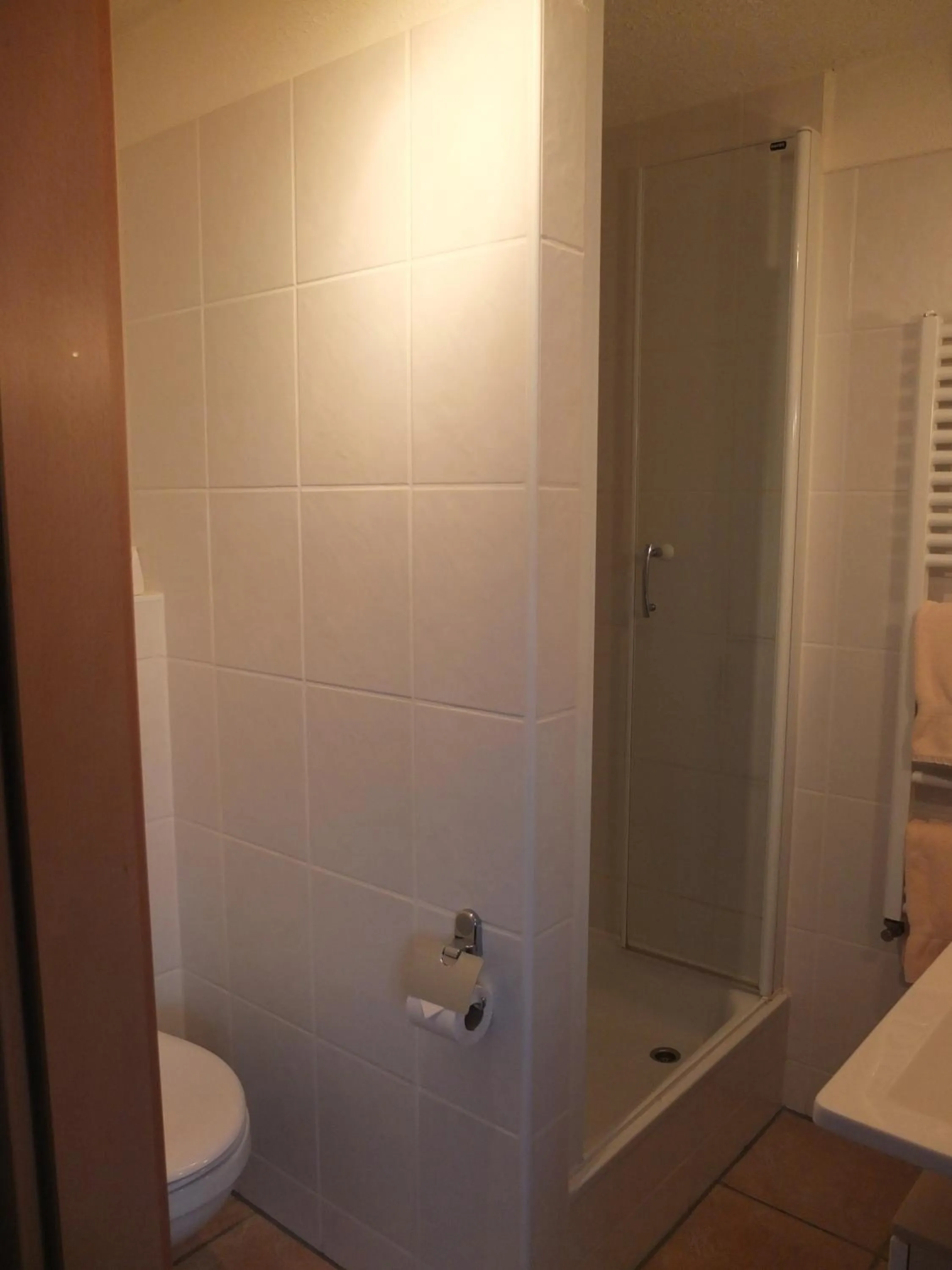 Shower in ReVital & Wohlfühlhotel Steimker Hof