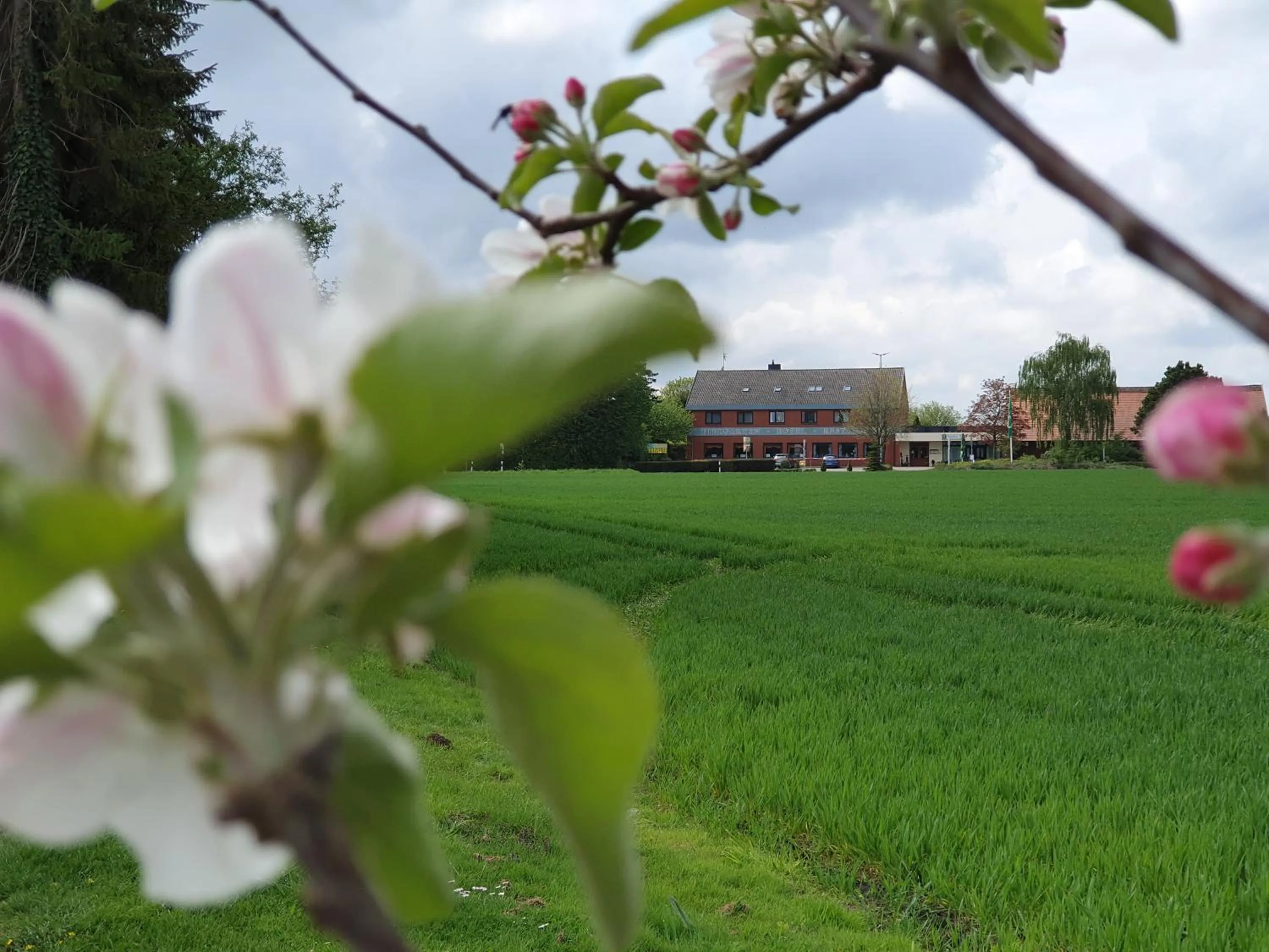Property building in ReVital & Wohlfühlhotel Steimker Hof